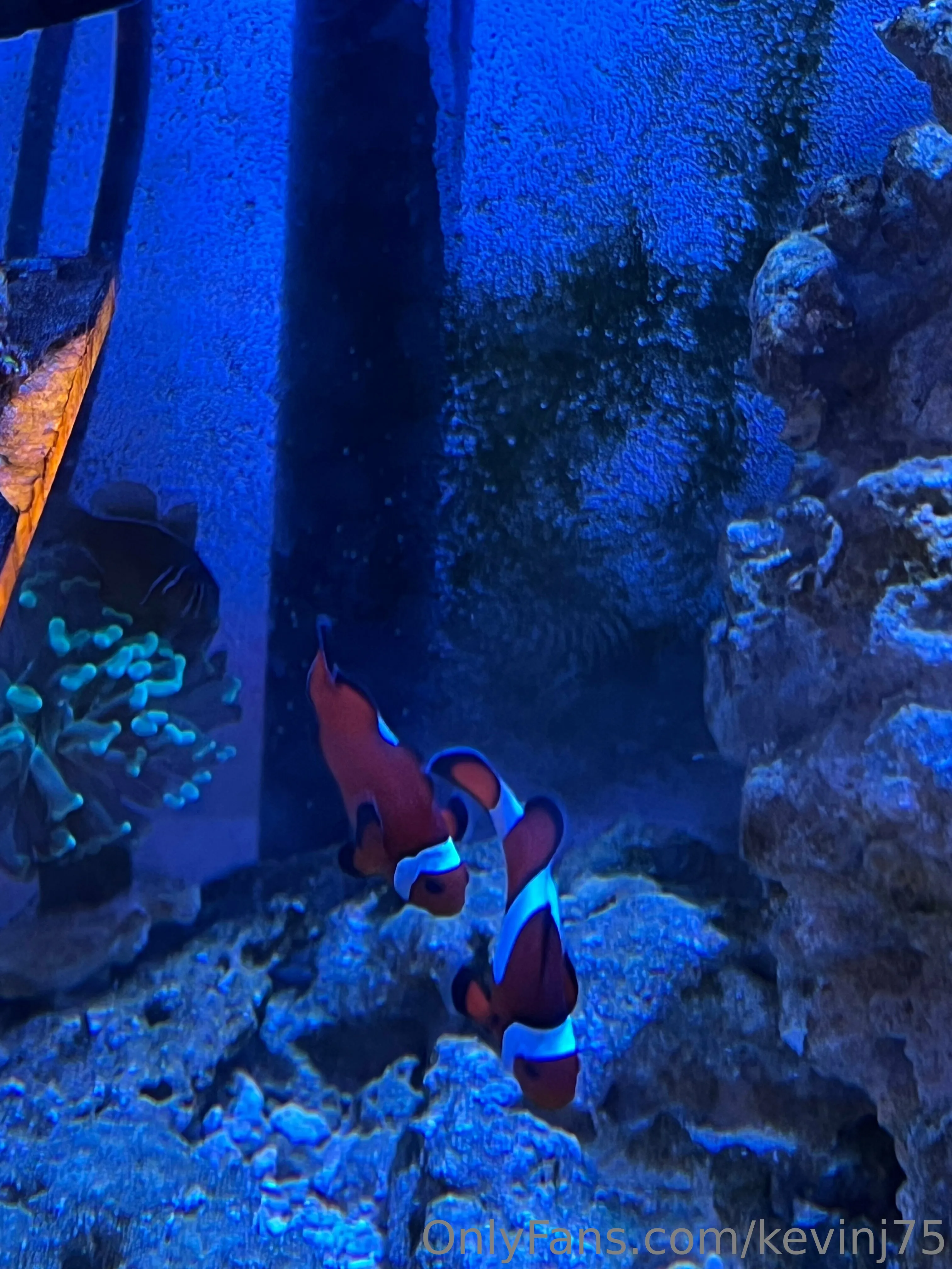 Kevinj75 OnlyFans leaked nude photo 28 - kevinj75 naked pics free download