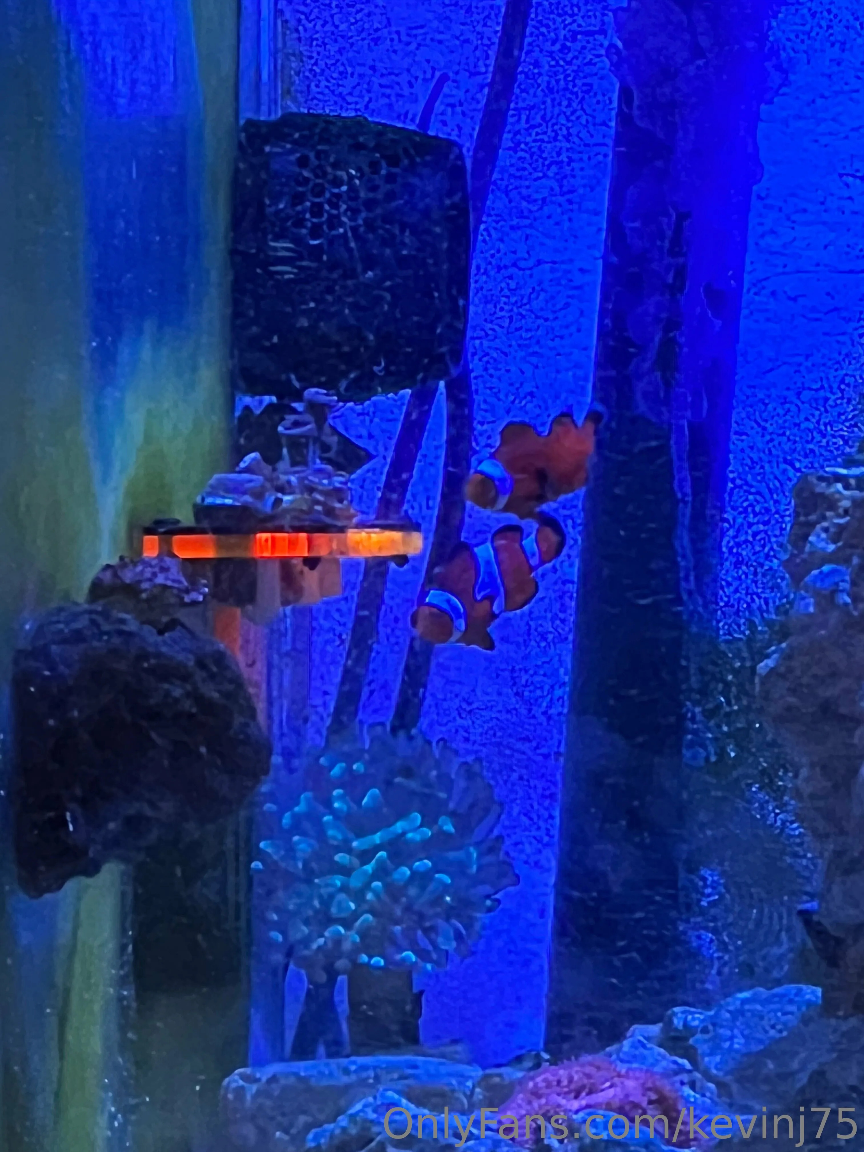 Kevinj75 OnlyFans leaked nude photo 27 - kevinj75 naked pics free download