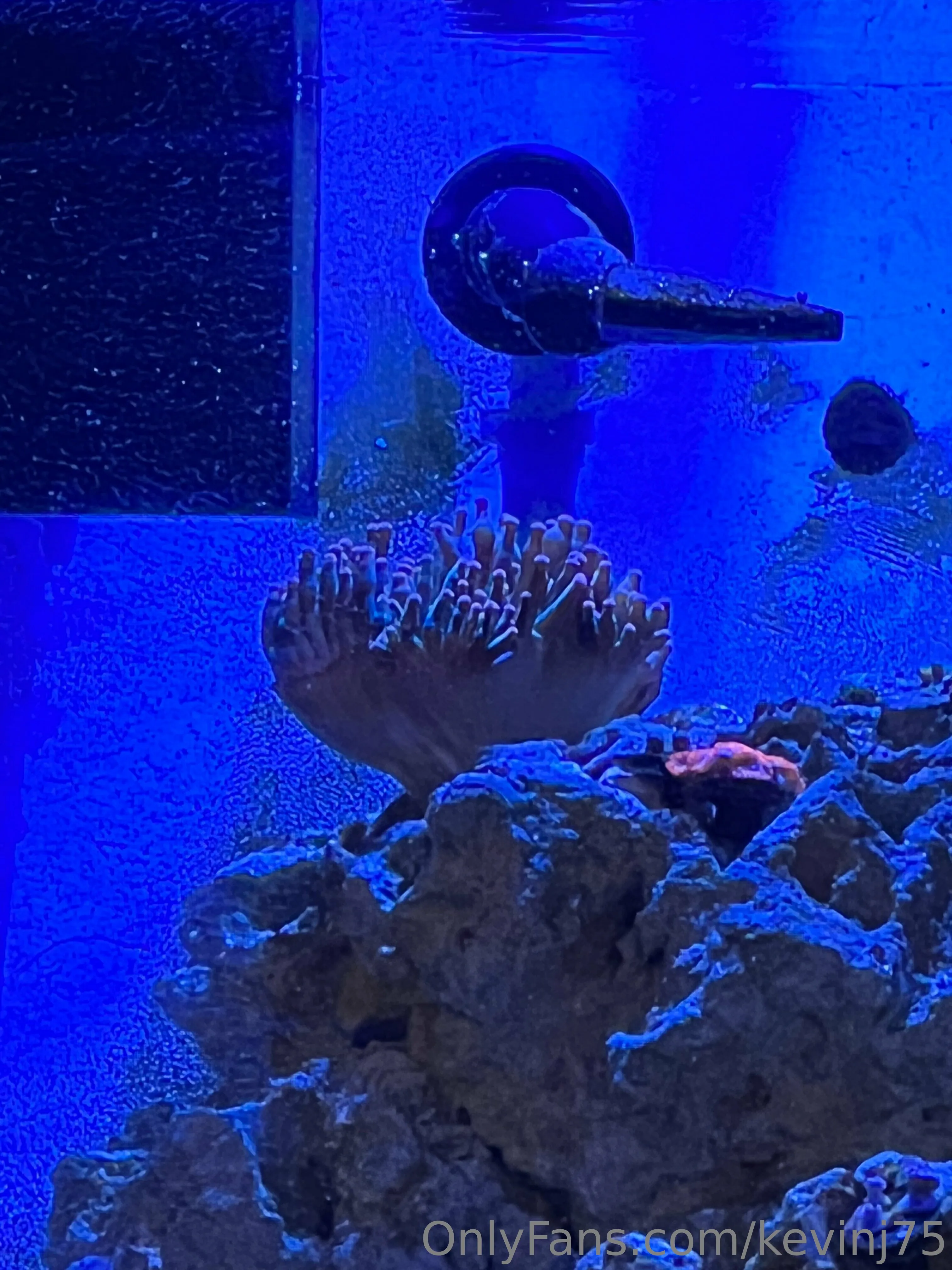 Kevinj75 OnlyFans leaked nude photo 26 - kevinj75 naked pics free download