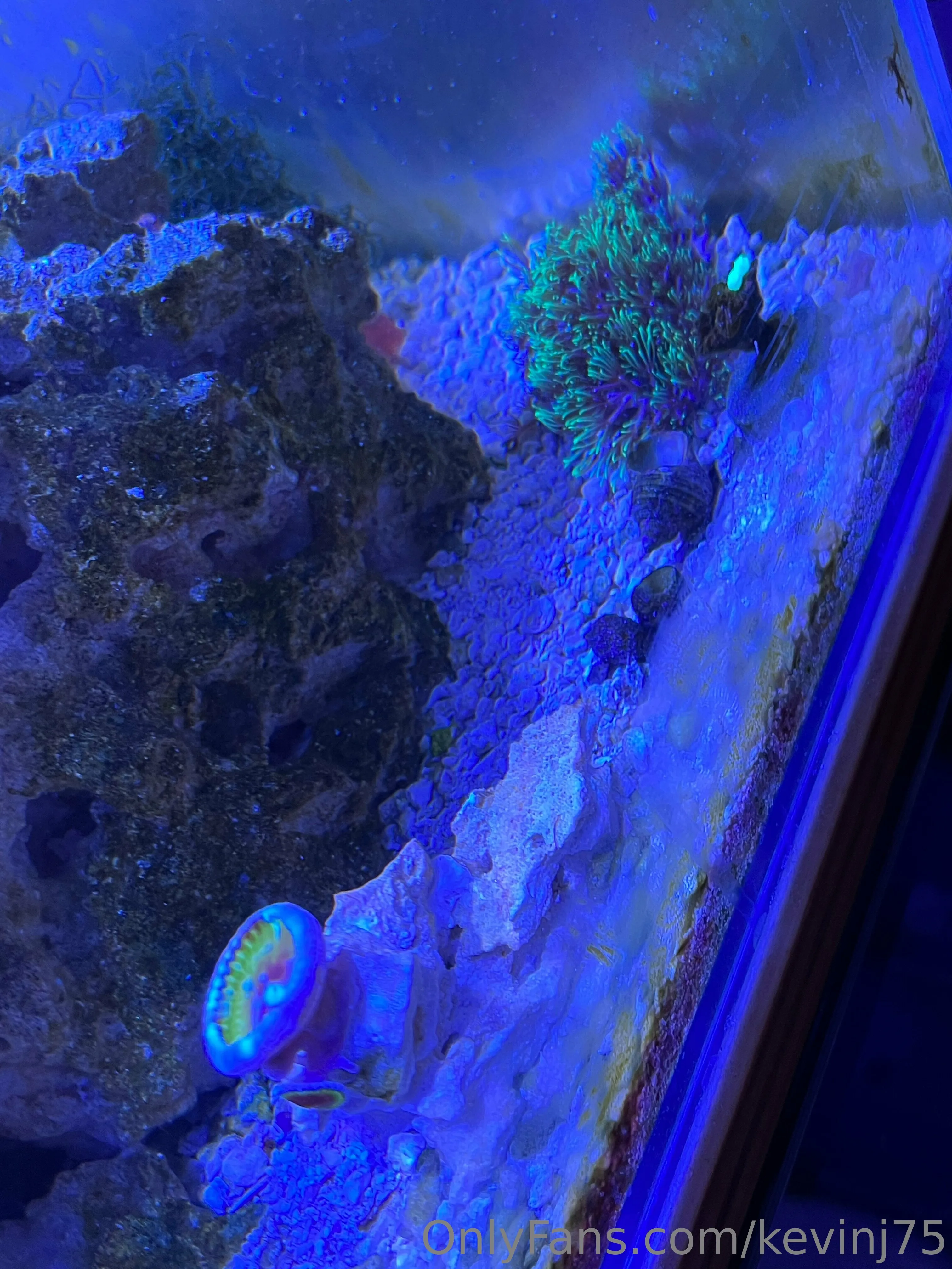 Kevinj75 OnlyFans leaked nude photo 25 - kevinj75 naked pics free download