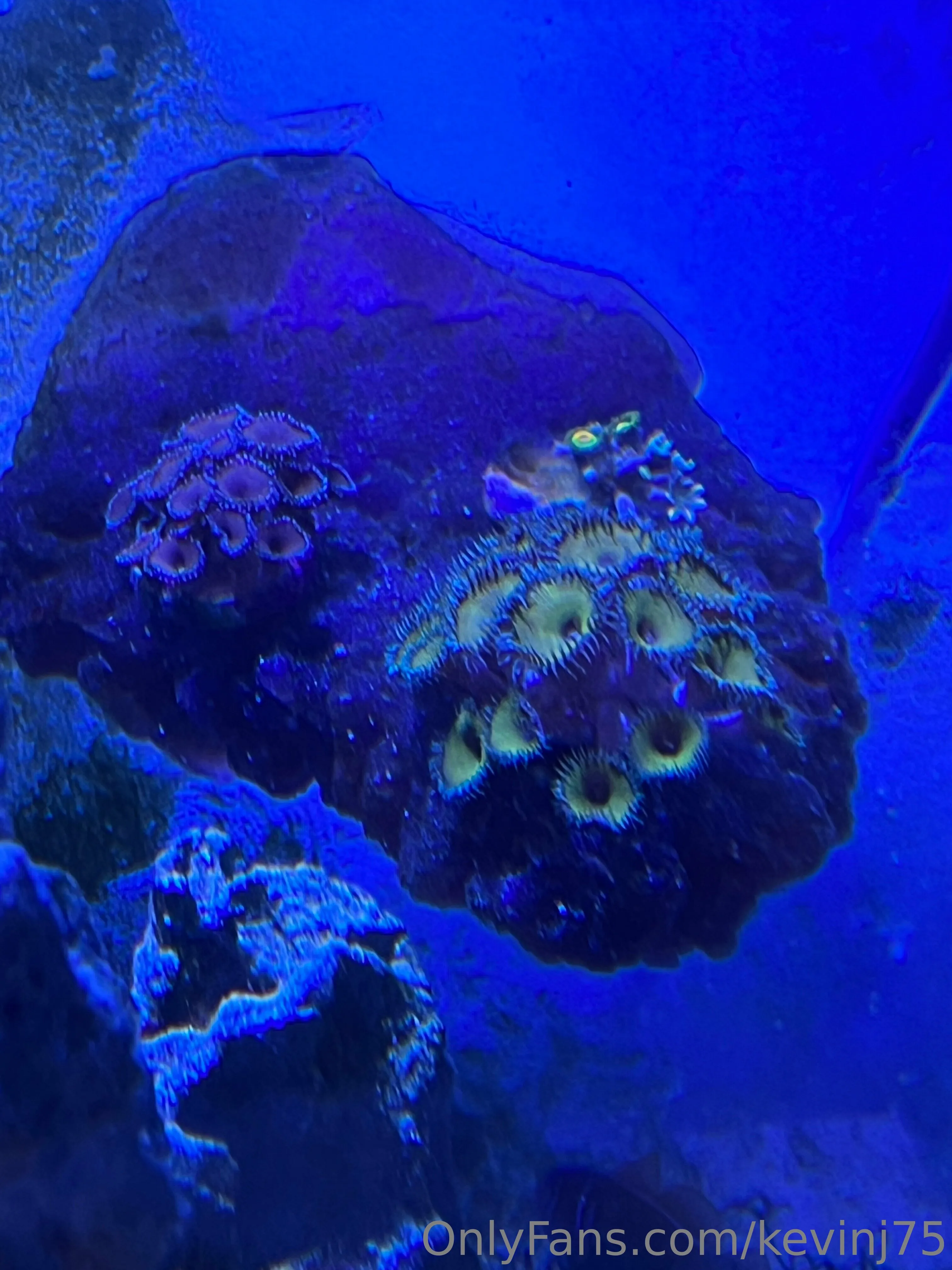 Kevinj75 OnlyFans leaked nude photo 24 - kevinj75 naked pics free download