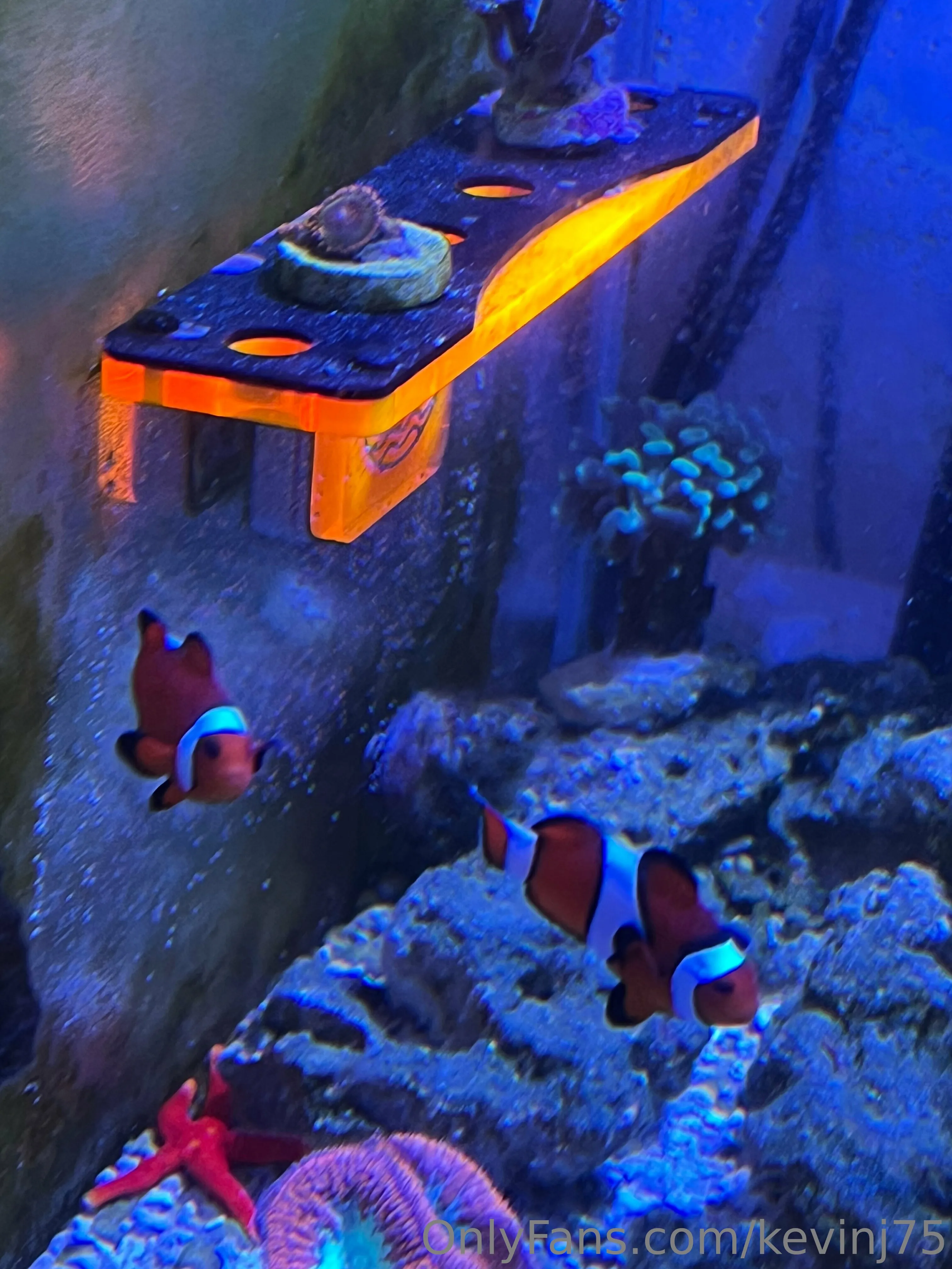 Kevinj75 OnlyFans leaked nude photo 23 - kevinj75 naked pics free download