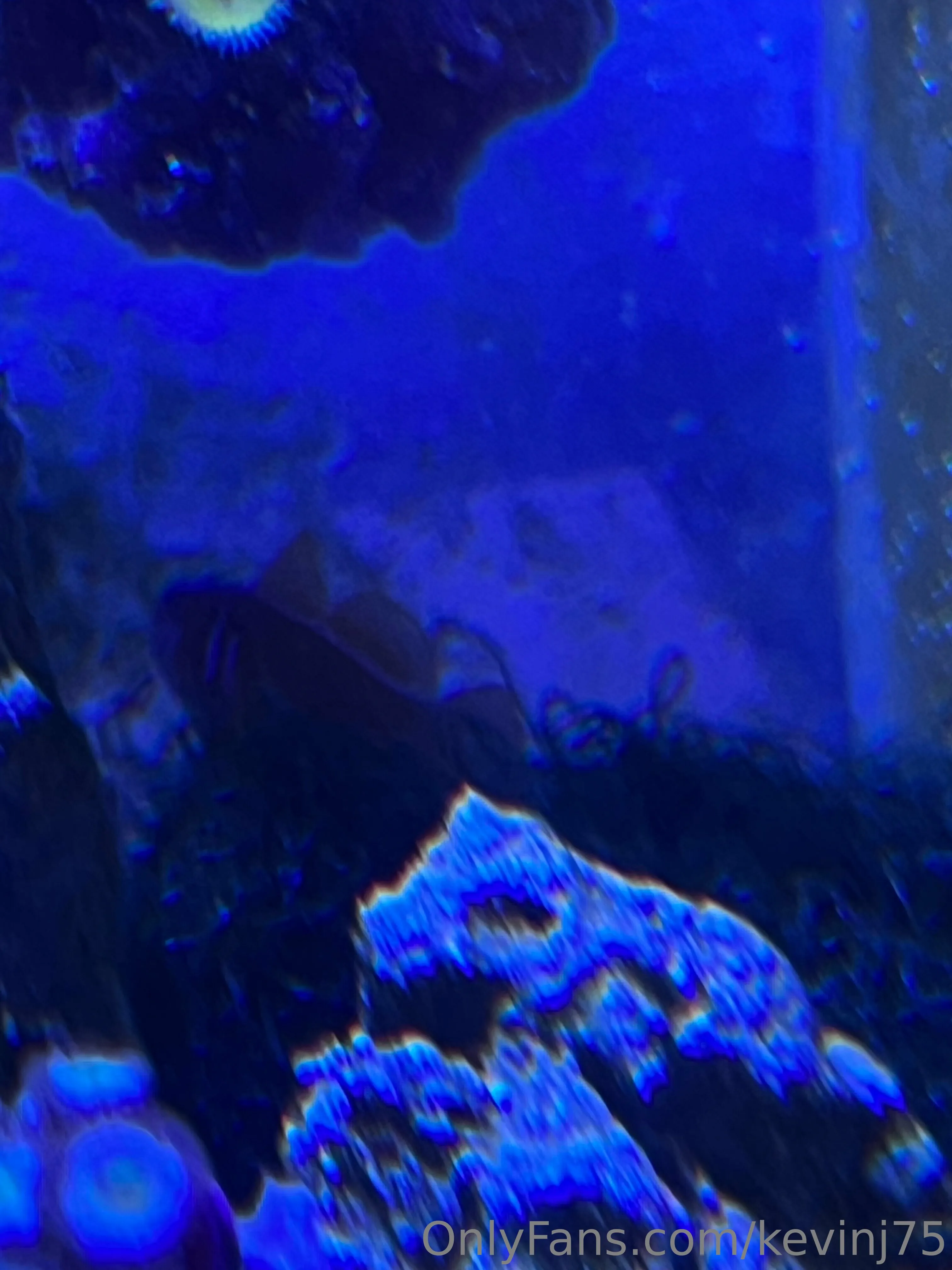 Kevinj75 OnlyFans leaked nude photo 22 - kevinj75 naked pics free download