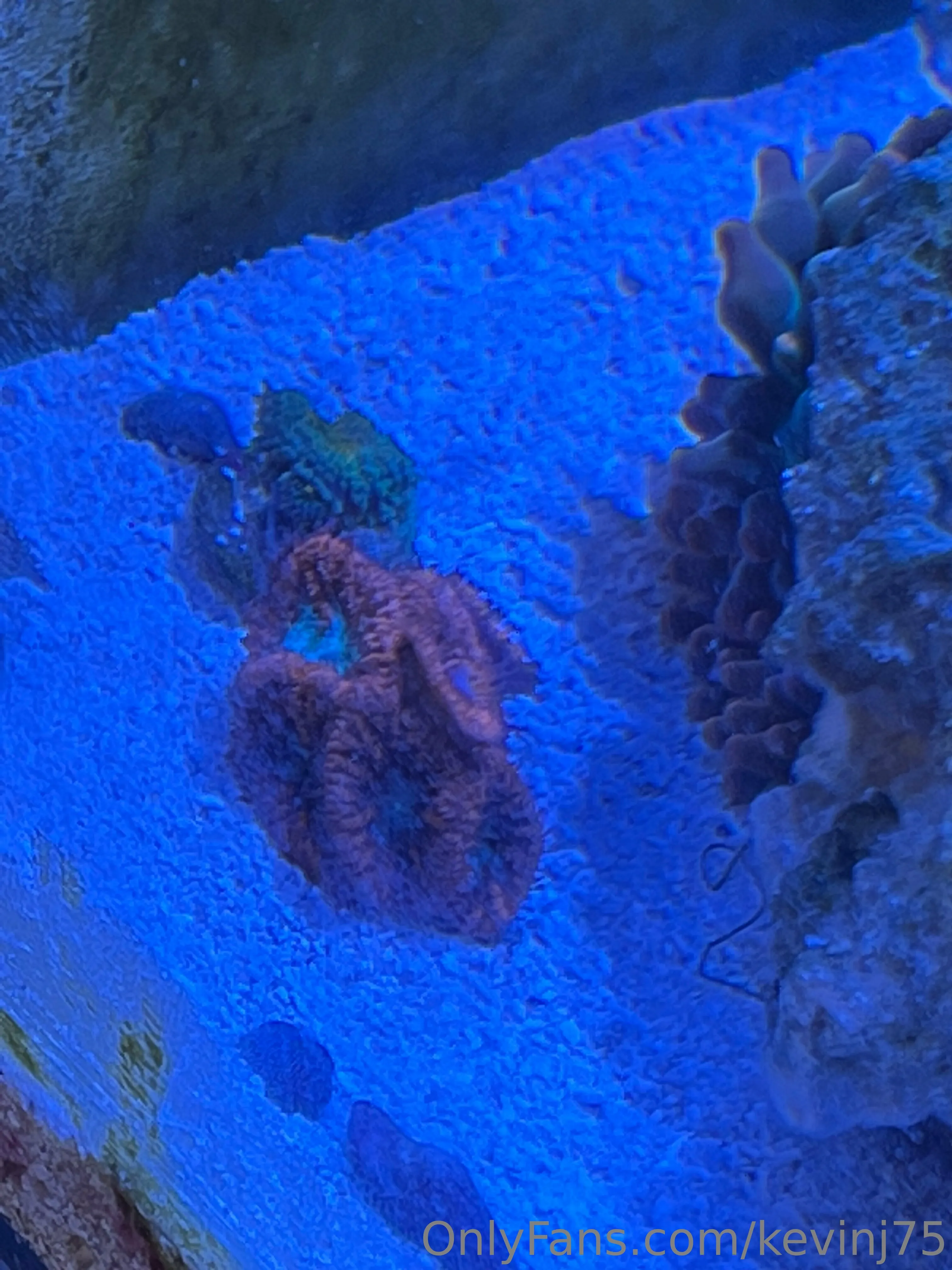 Kevinj75 OnlyFans leaked nude photo 20 - kevinj75 naked pics free download