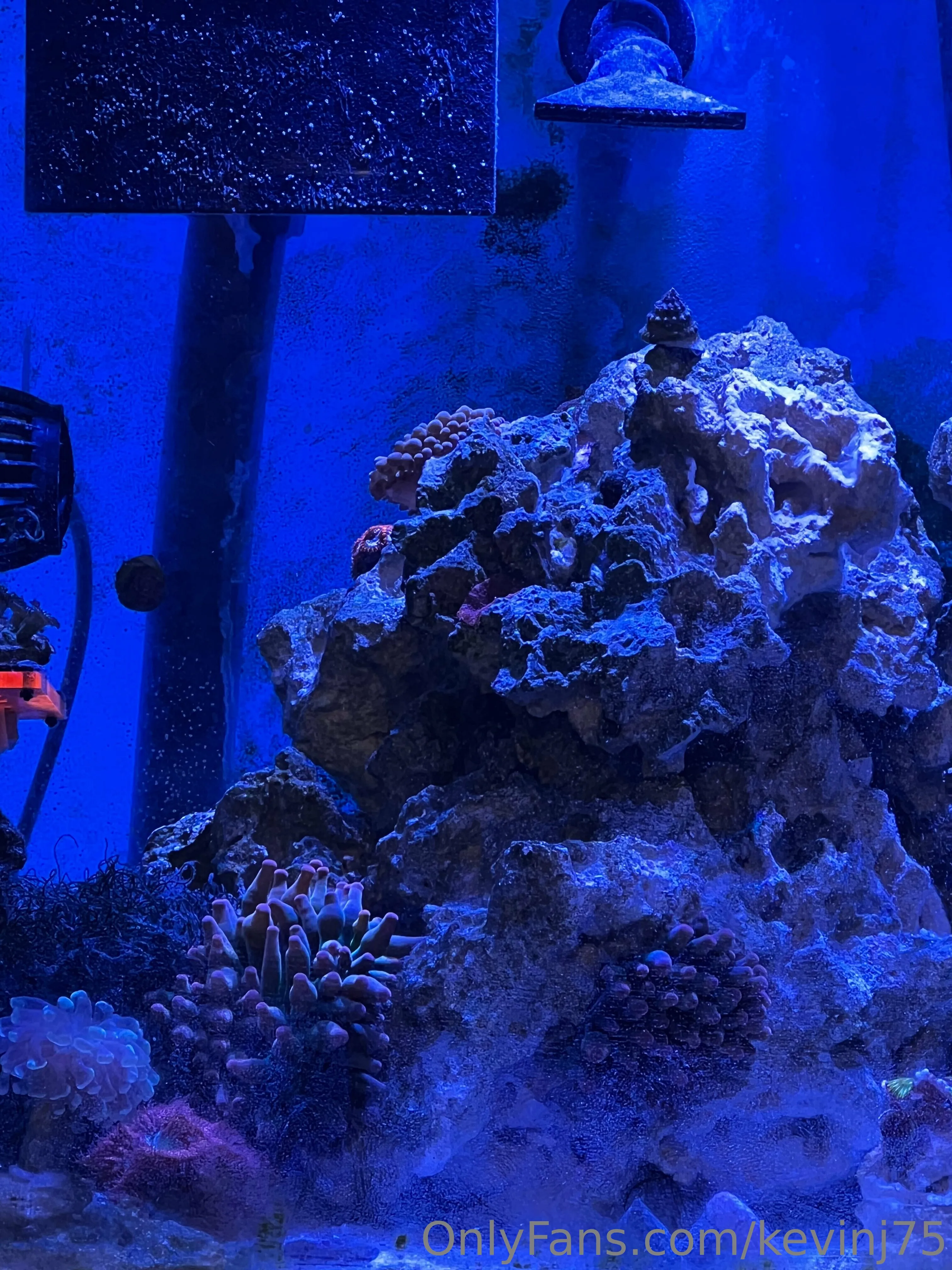 Kevinj75 OnlyFans leaked nude photo 19 - kevinj75 naked pics free download