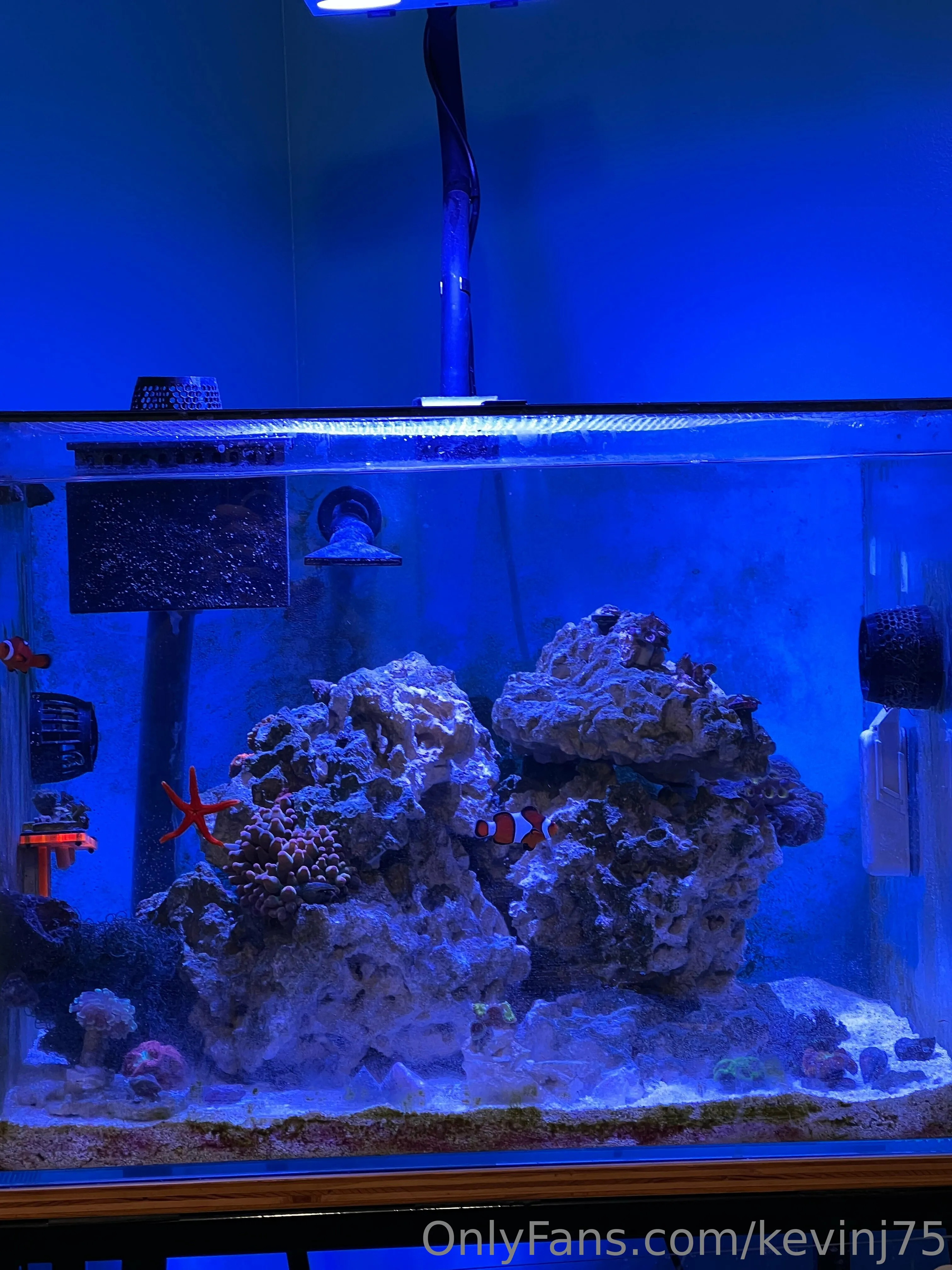 Kevinj75 OnlyFans leaked nude photo 18 - kevinj75 naked pics free download