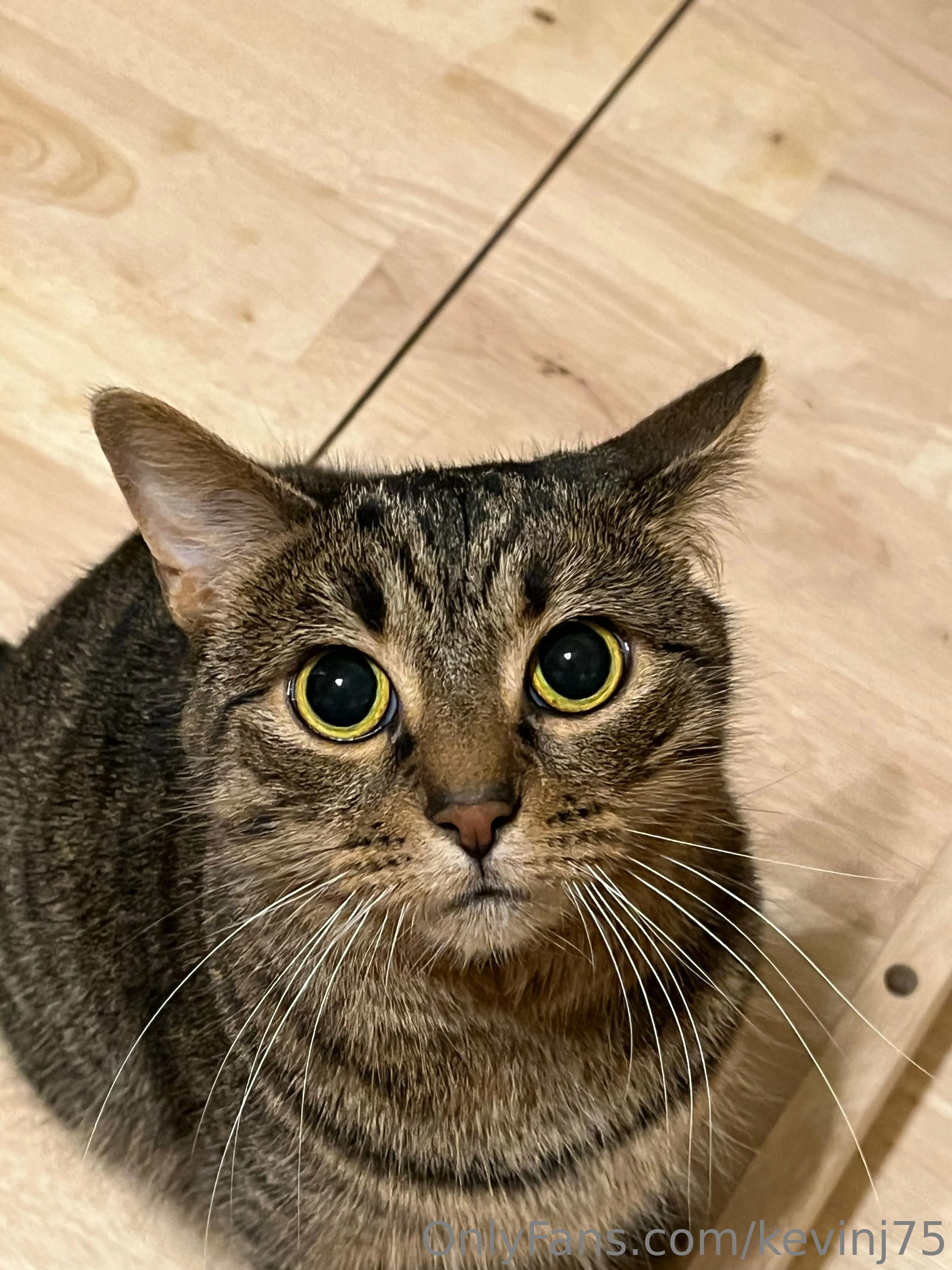 Kevinj75 OnlyFans leaked nude photo 17 - kevinj75 naked pics free download