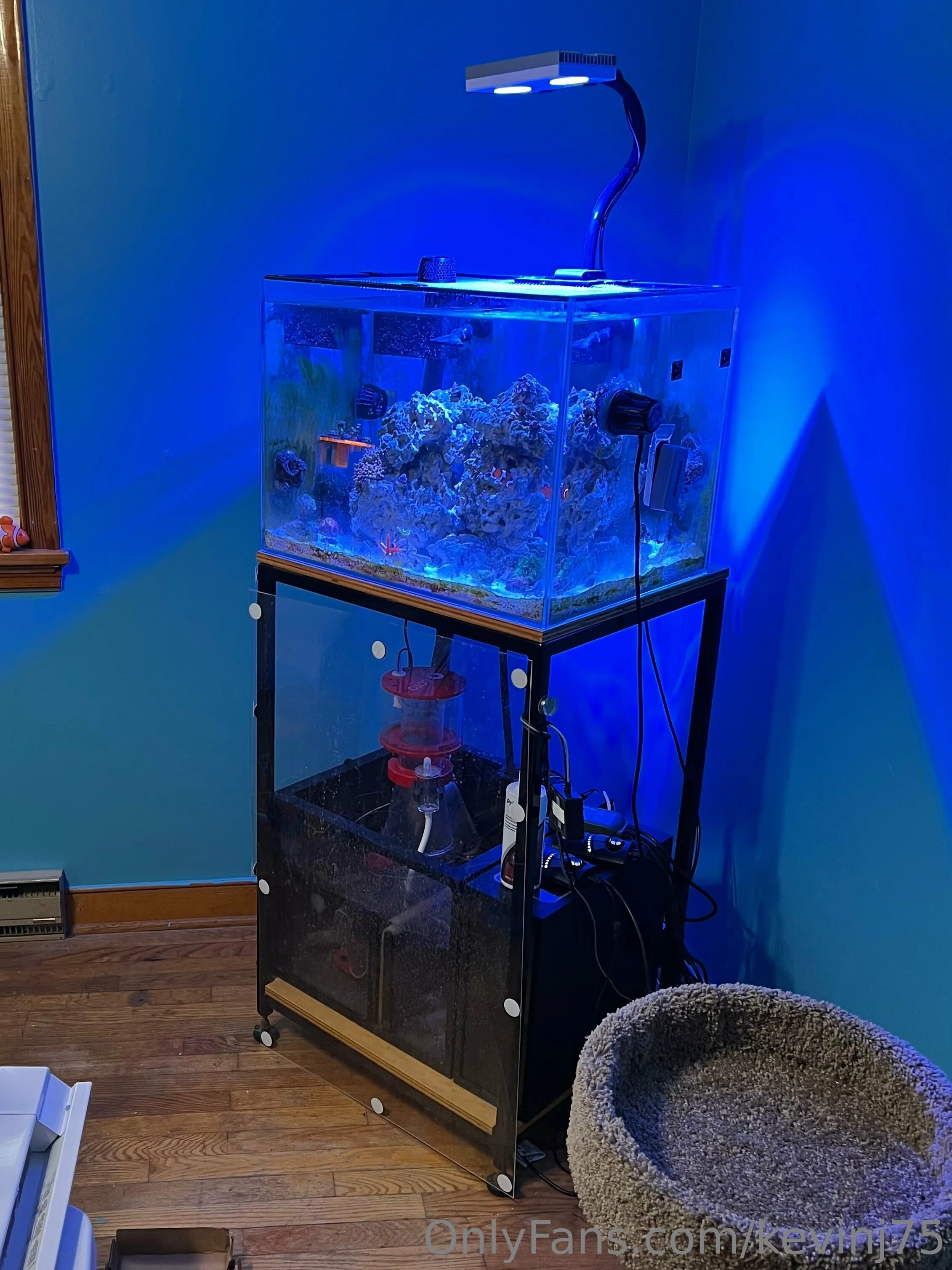 Kevinj75 OnlyFans leaked nude photo 16 - kevinj75 naked pics free download