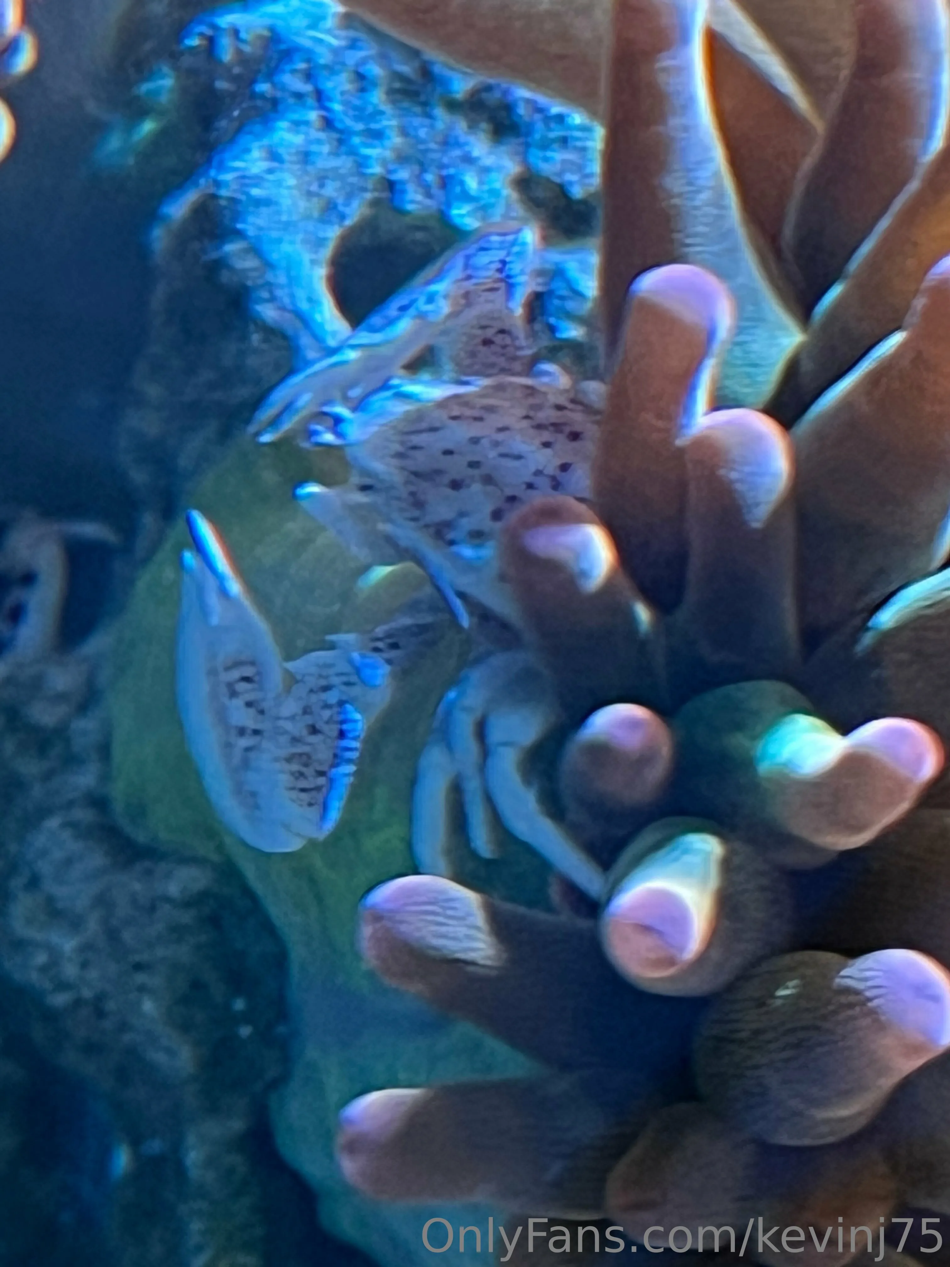 Kevinj75 OnlyFans leaked nude photo 15 - kevinj75 naked pics free download