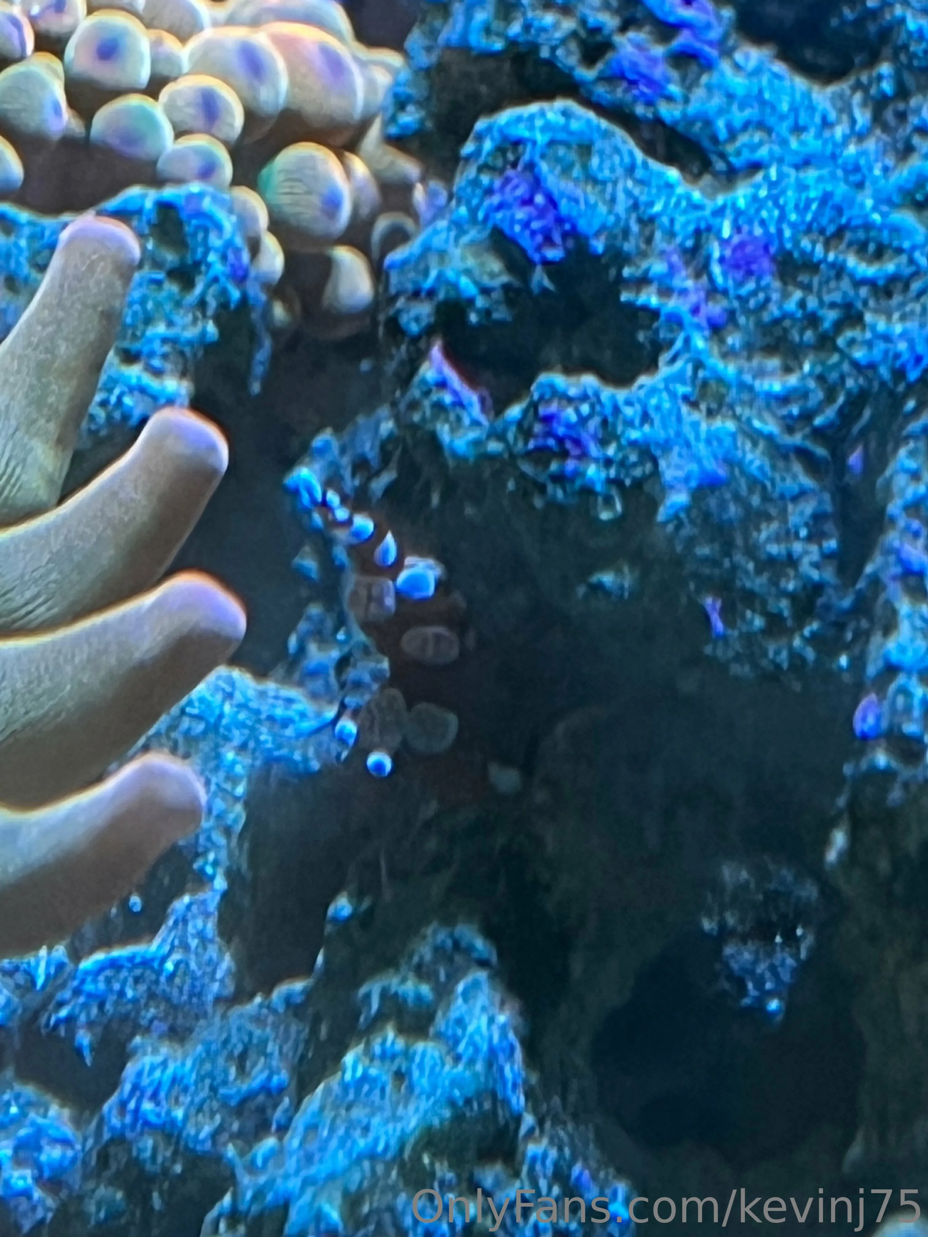 Kevinj75 OnlyFans leaked nude photo 14 - kevinj75 naked pics free download