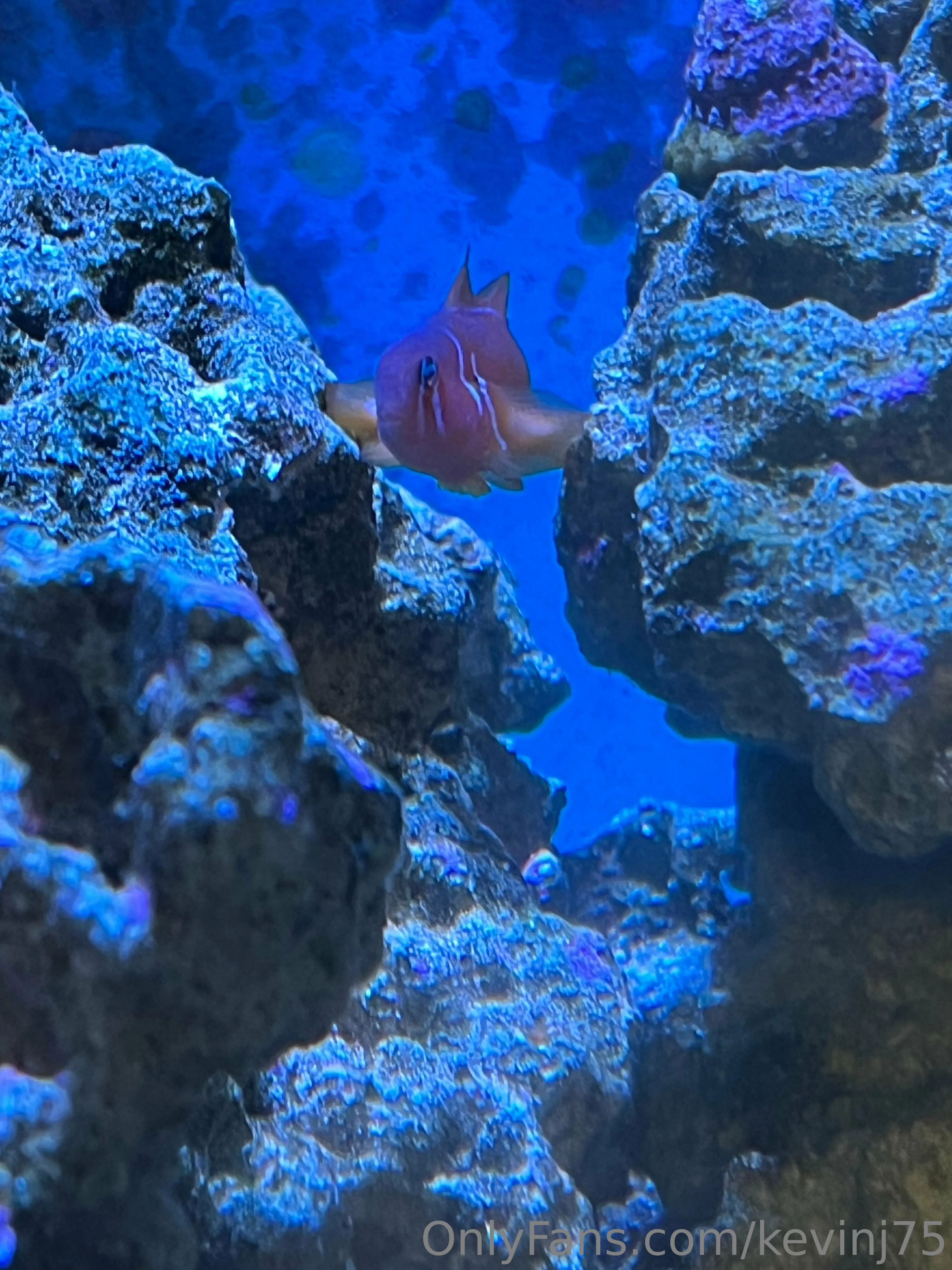 Kevinj75 OnlyFans leaked nude photo 13 - kevinj75 naked pics free download