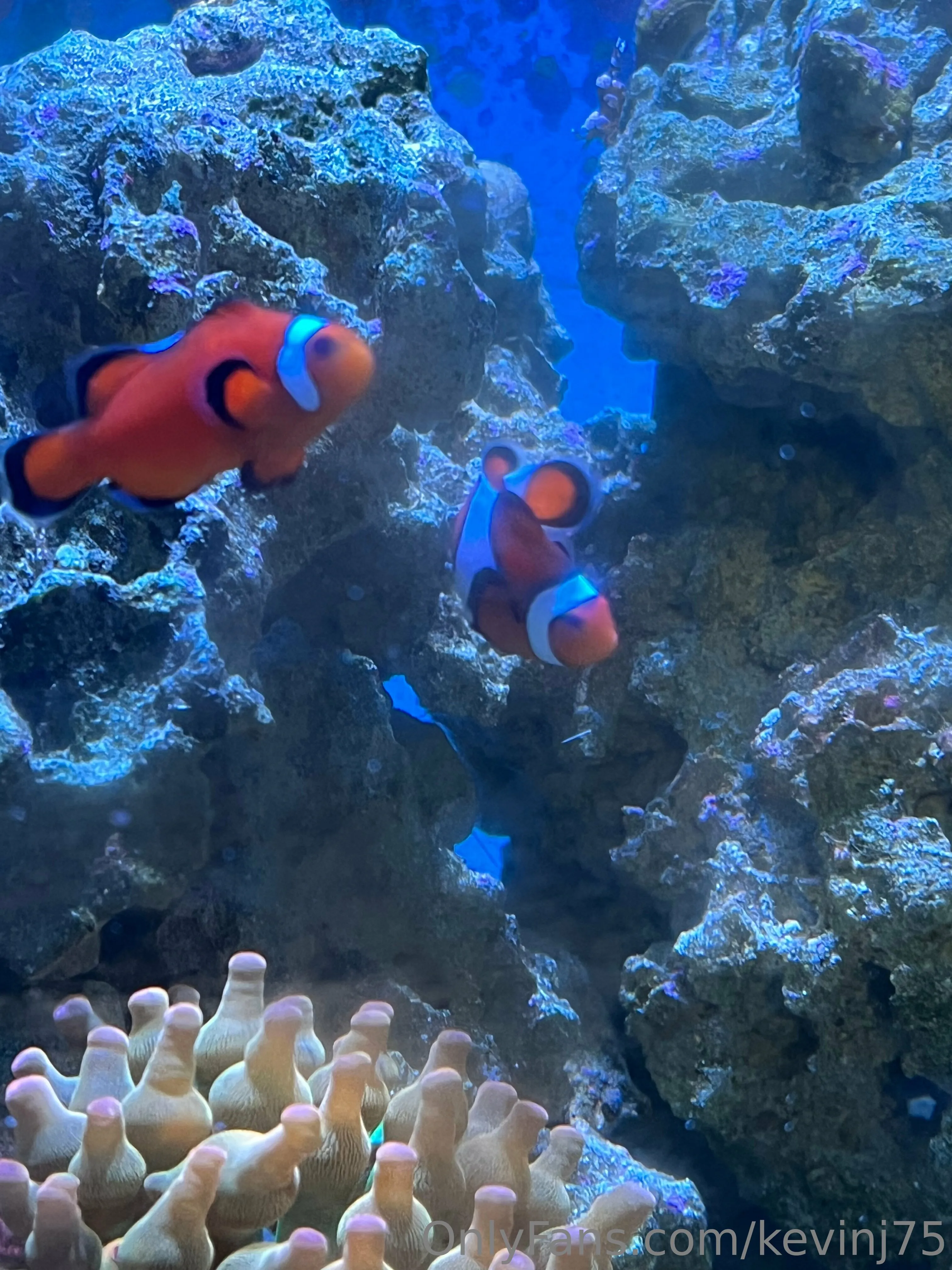 Kevinj75 OnlyFans leaked nude photo 11 - kevinj75 naked pics free download