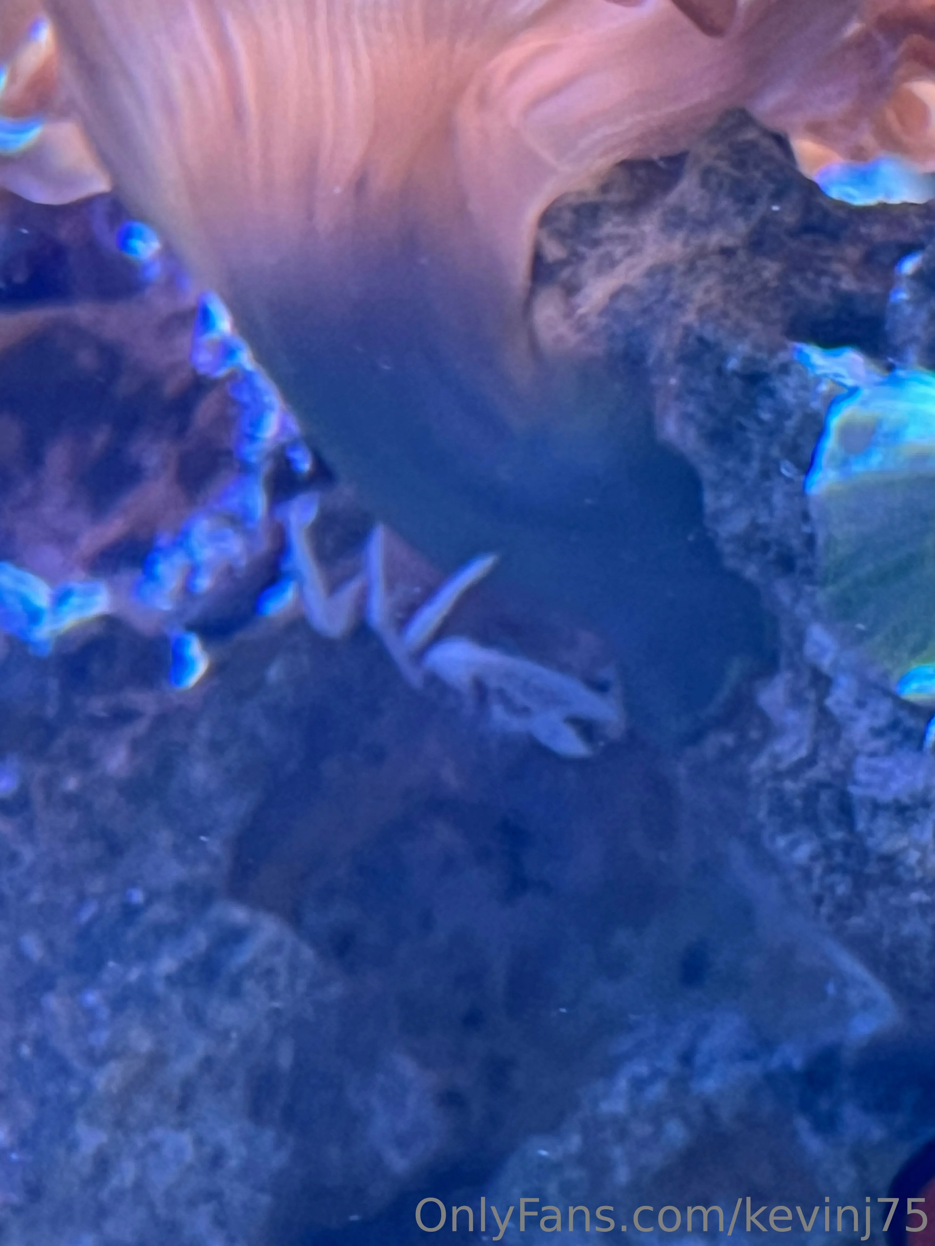 Kevinj75 OnlyFans leaked nude photo 9 - kevinj75 naked pics free download