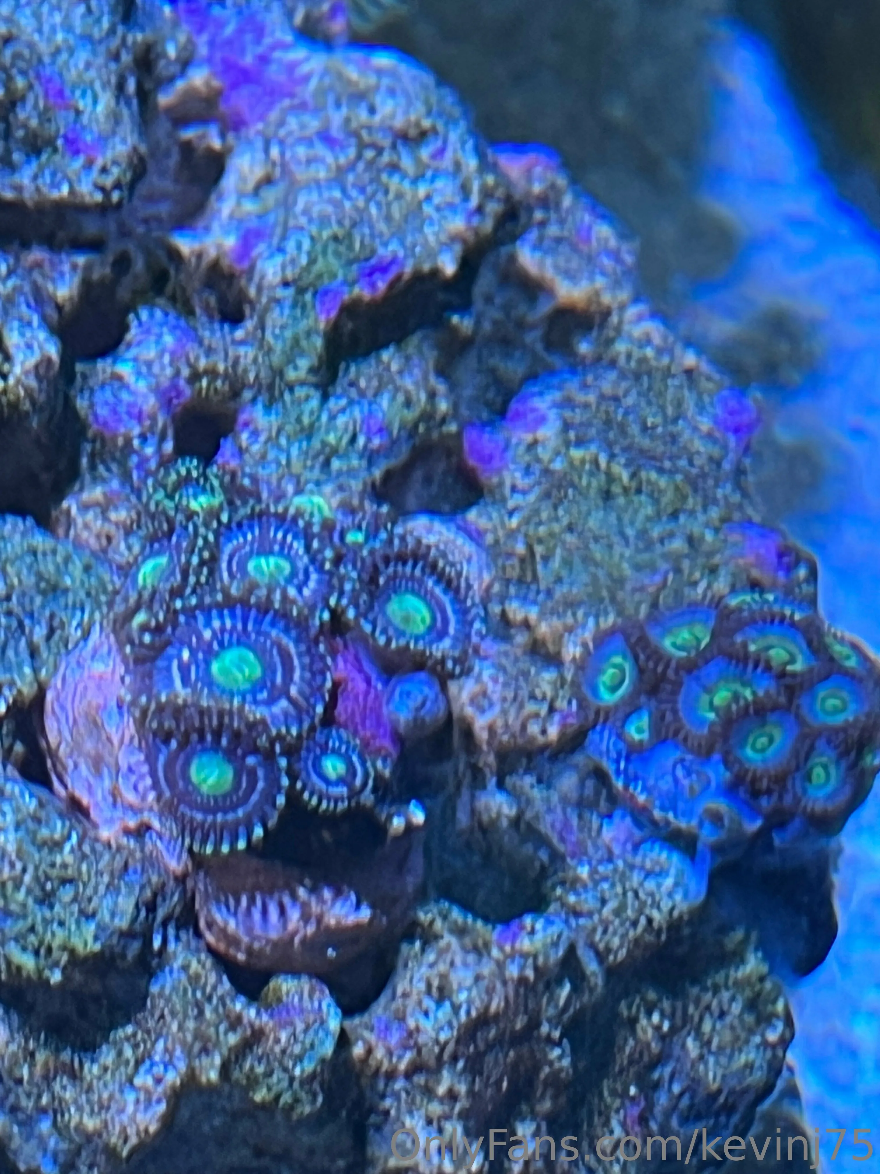Kevinj75 OnlyFans leaked nude photo 8 - kevinj75 naked pics free download