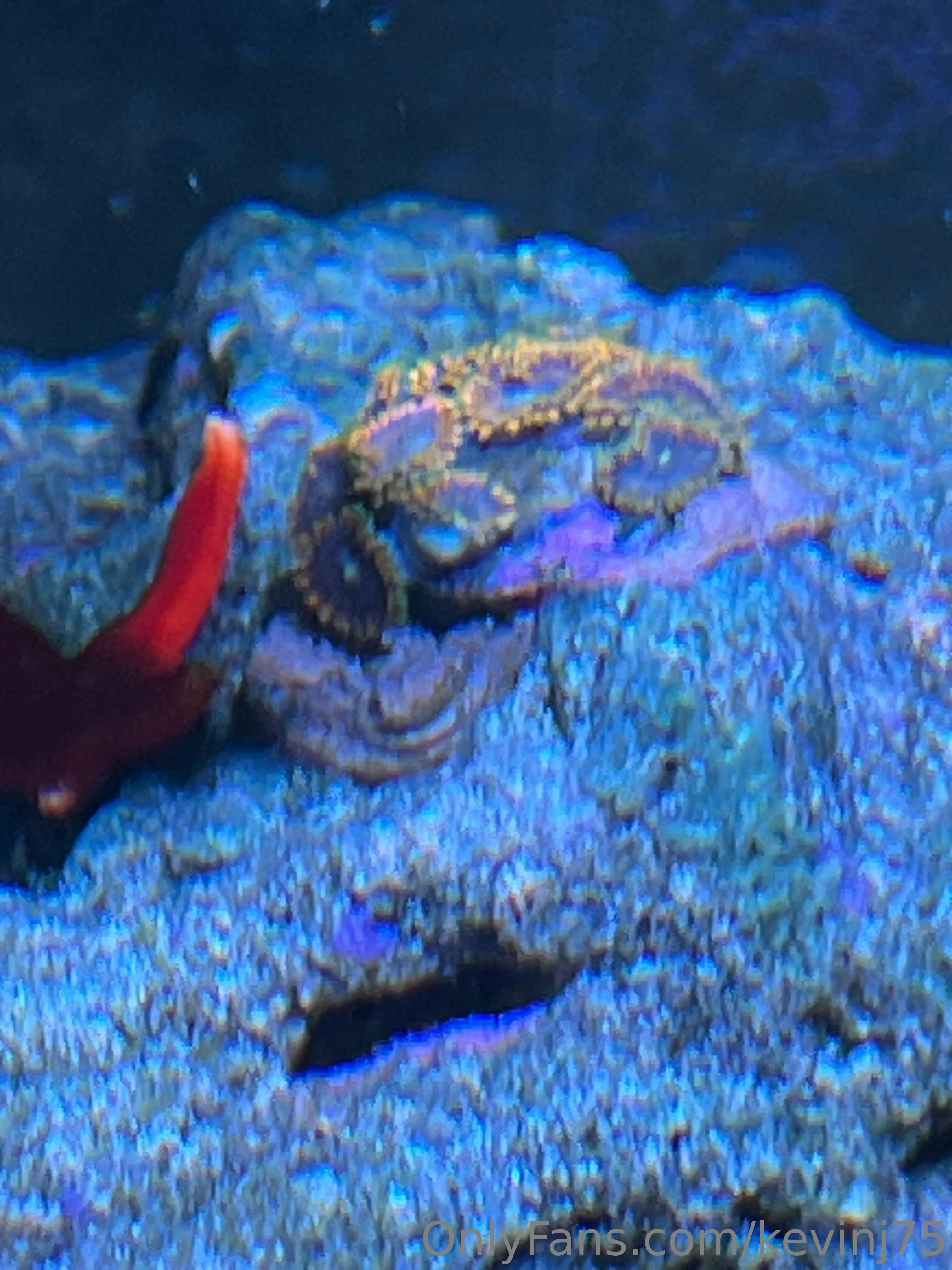 Kevinj75 OnlyFans leaked nude photo 7 - kevinj75 naked pics free download