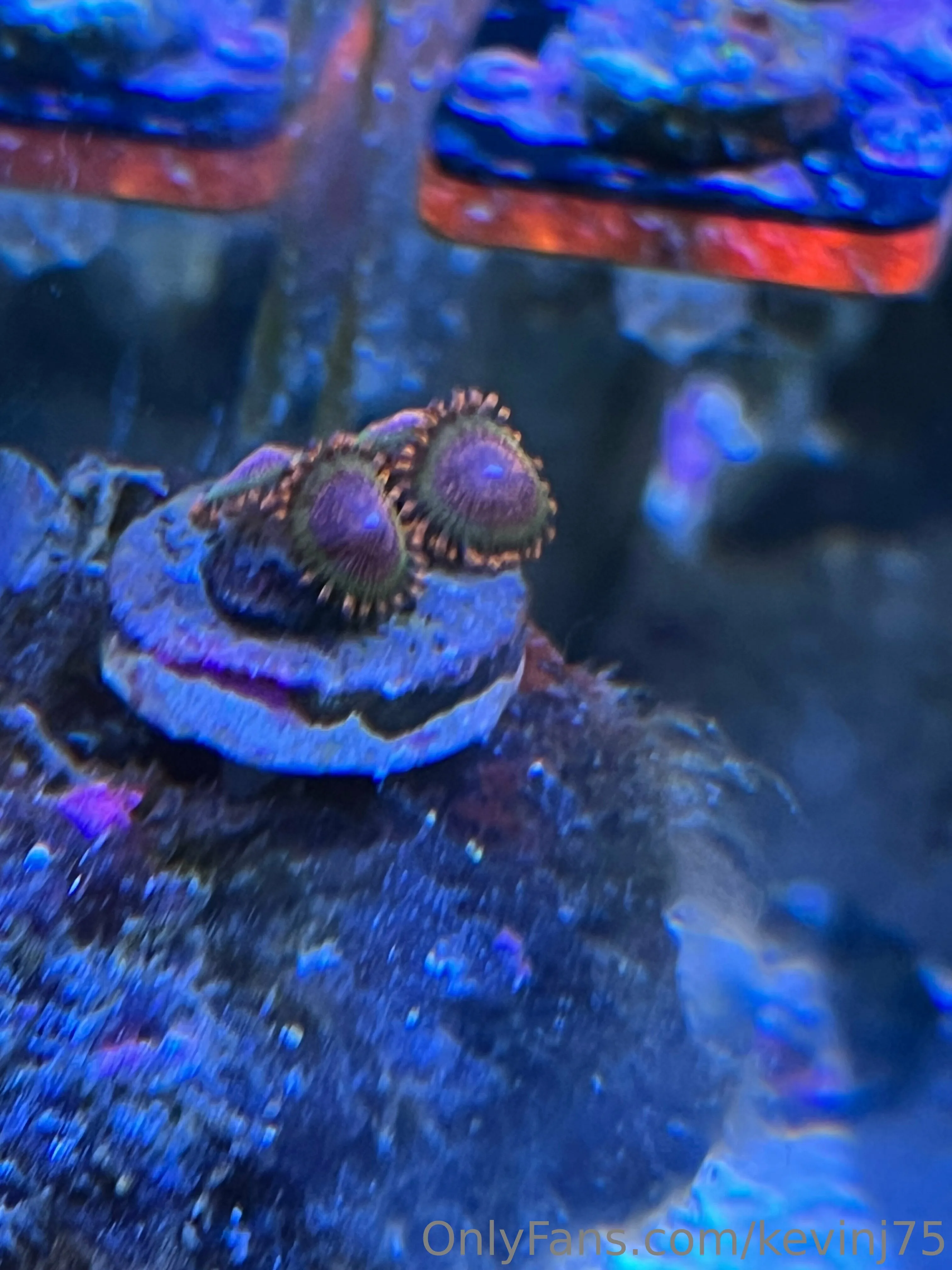 Kevinj75 OnlyFans leaked nude photo 6 - kevinj75 naked pics free download
