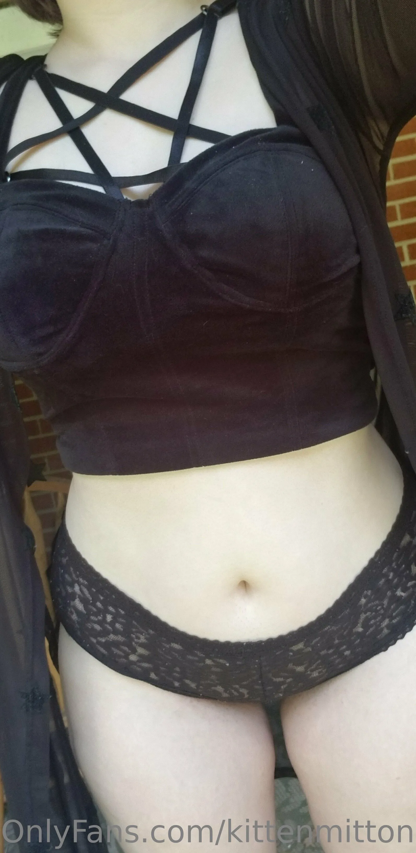 Kitten OnlyFans leaked nude photo 12 - kittenmittons253 naked pics free download