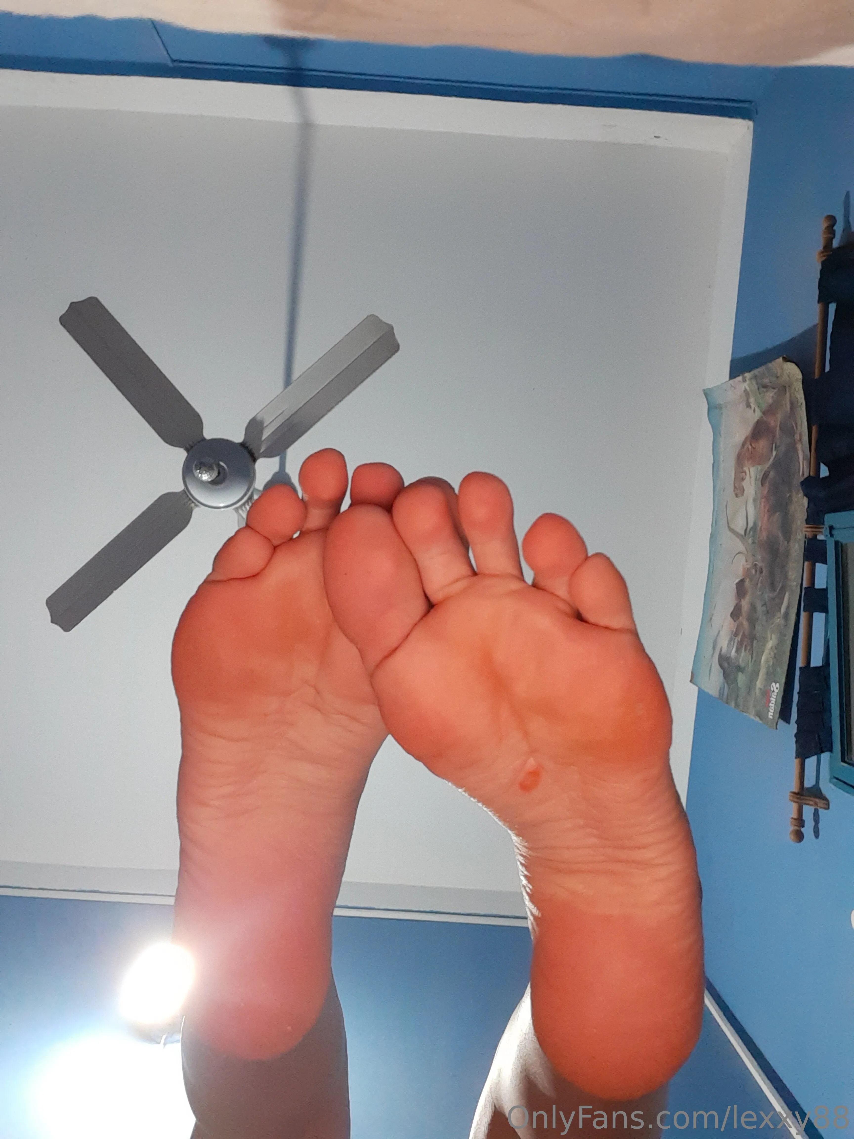 𝙇𝙀𝙓𝙔 𝙋𝘼𝙍𝘼𝘿𝙄𝙎𝙀 💦 OnlyFans leaked nude photo 2 - lexxy88 naked pics free download