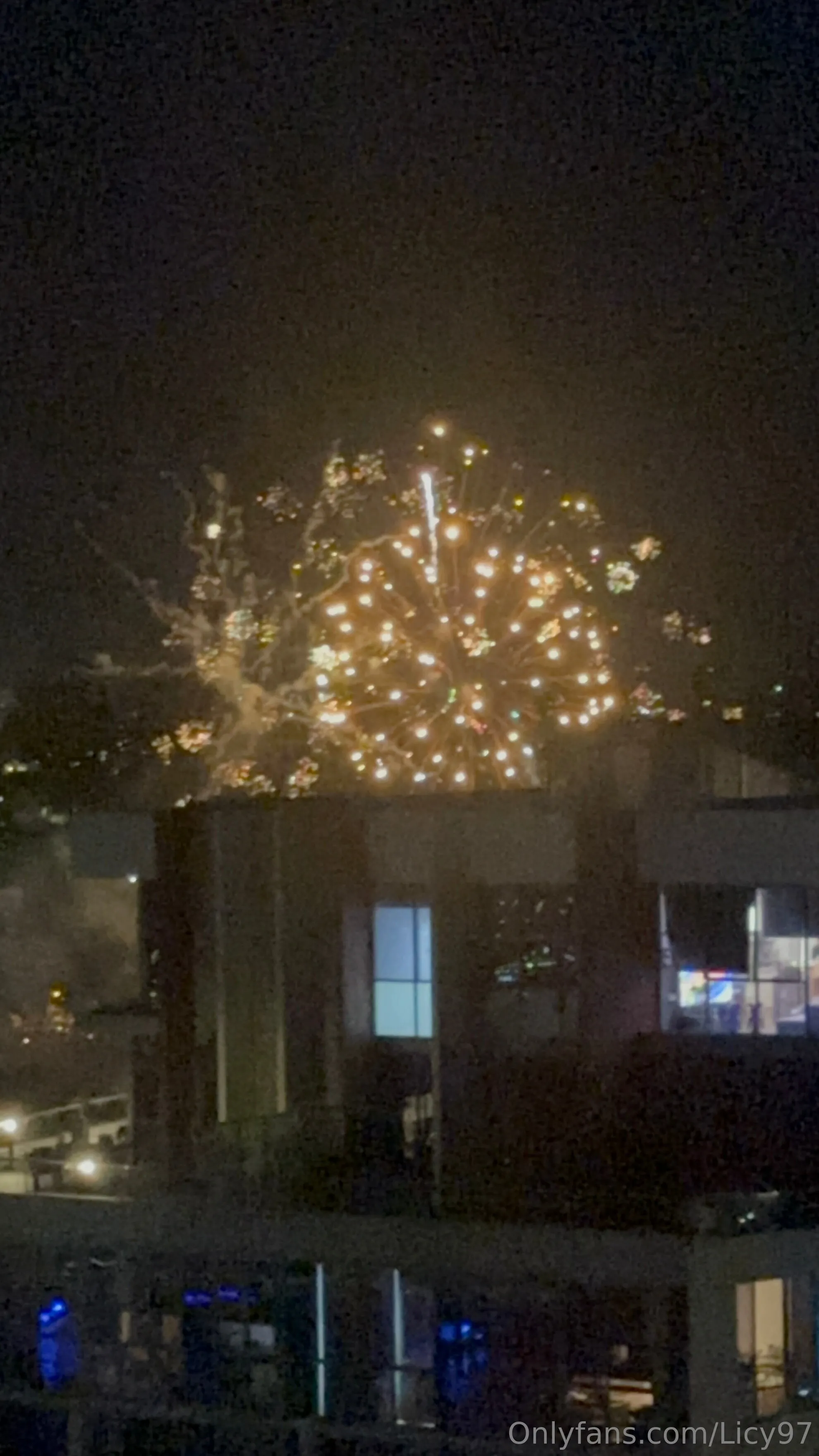 Alice OnlyFans leaked nude photo 15 - licy97 naked pics free download