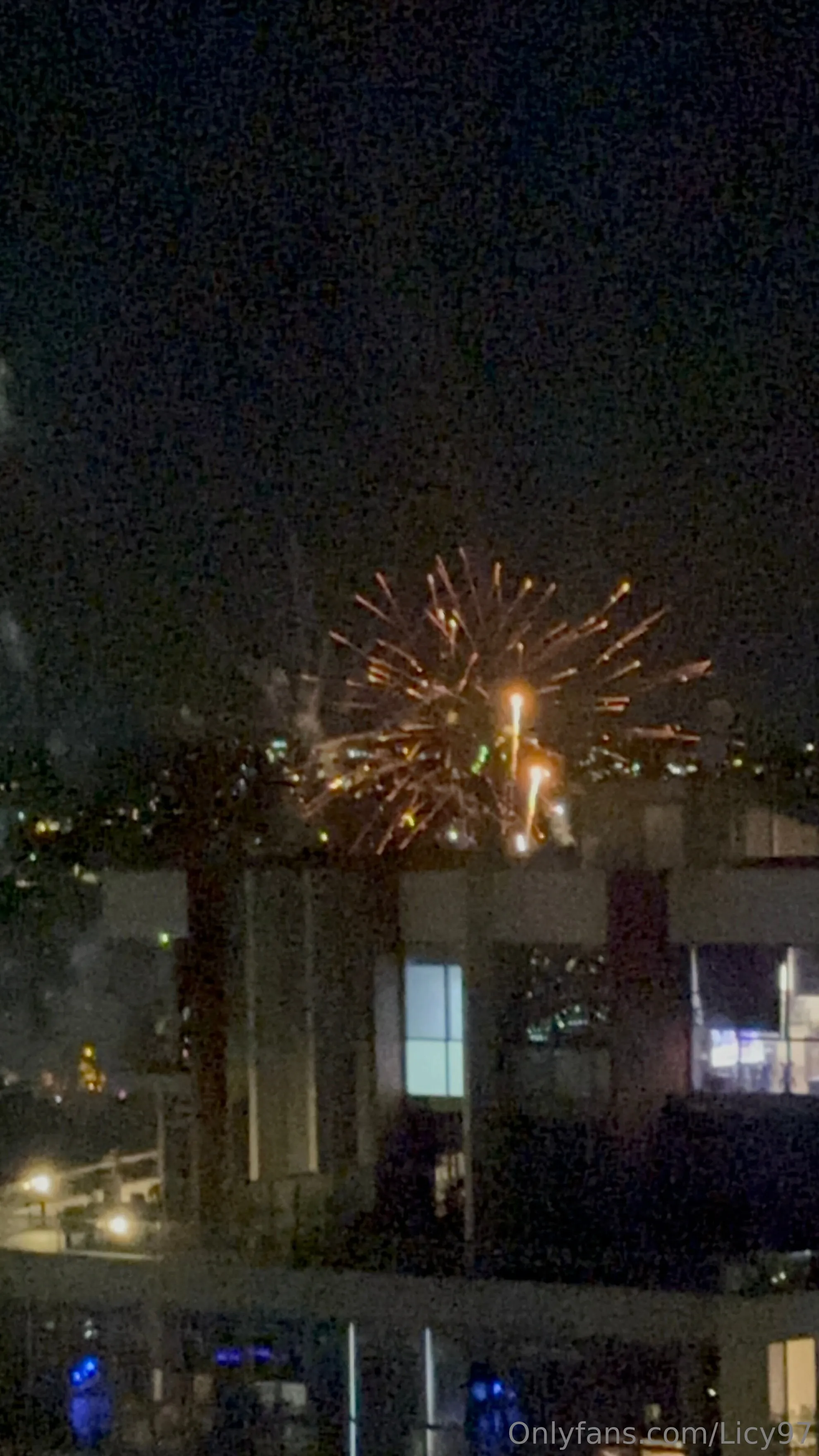 Alice OnlyFans leaked nude photo 14 - licy97 naked pics free download