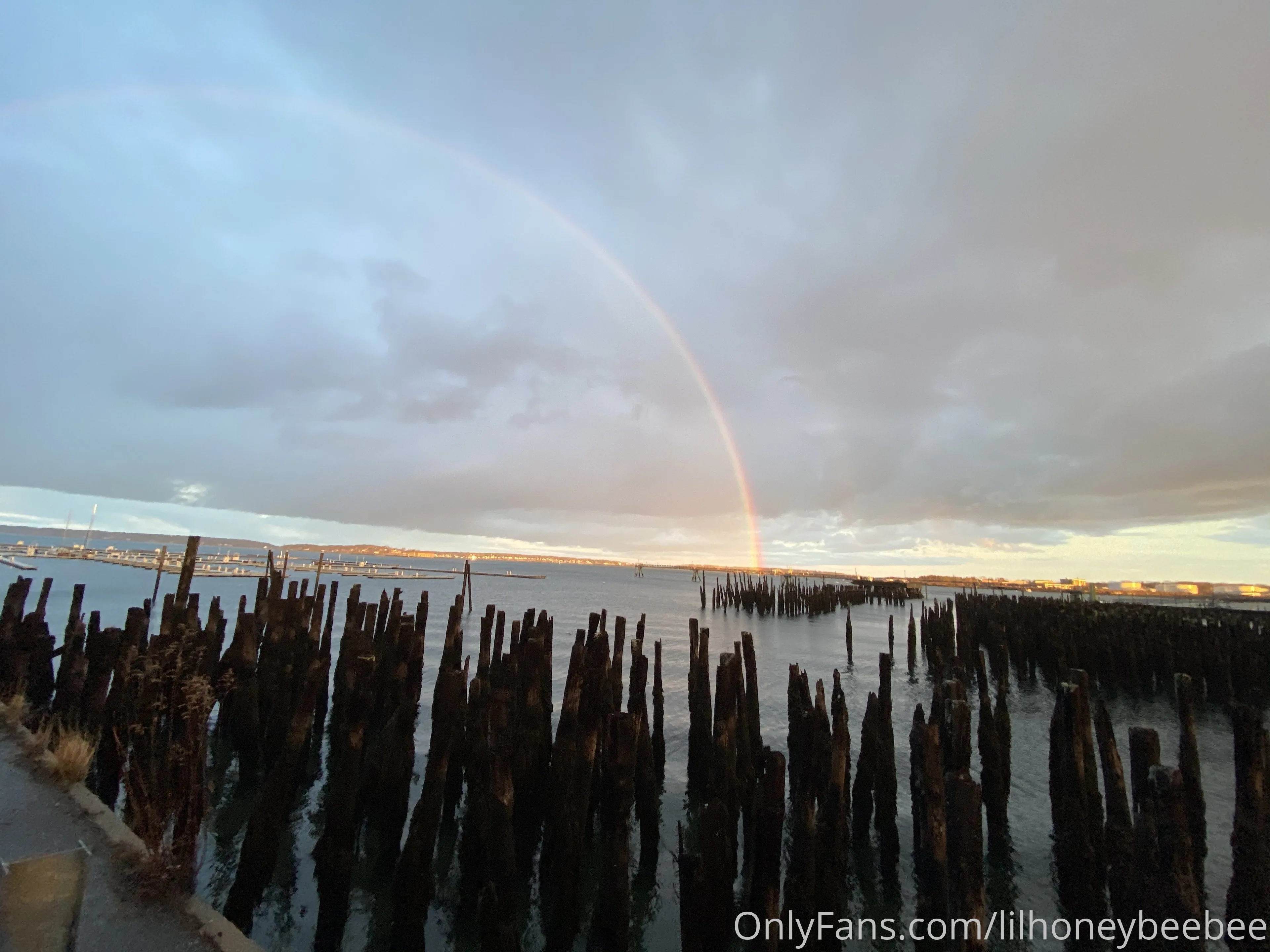 Little Honey Beebee OnlyFans leaked nude photo 33 - lilhoneybeebee naked pics free download