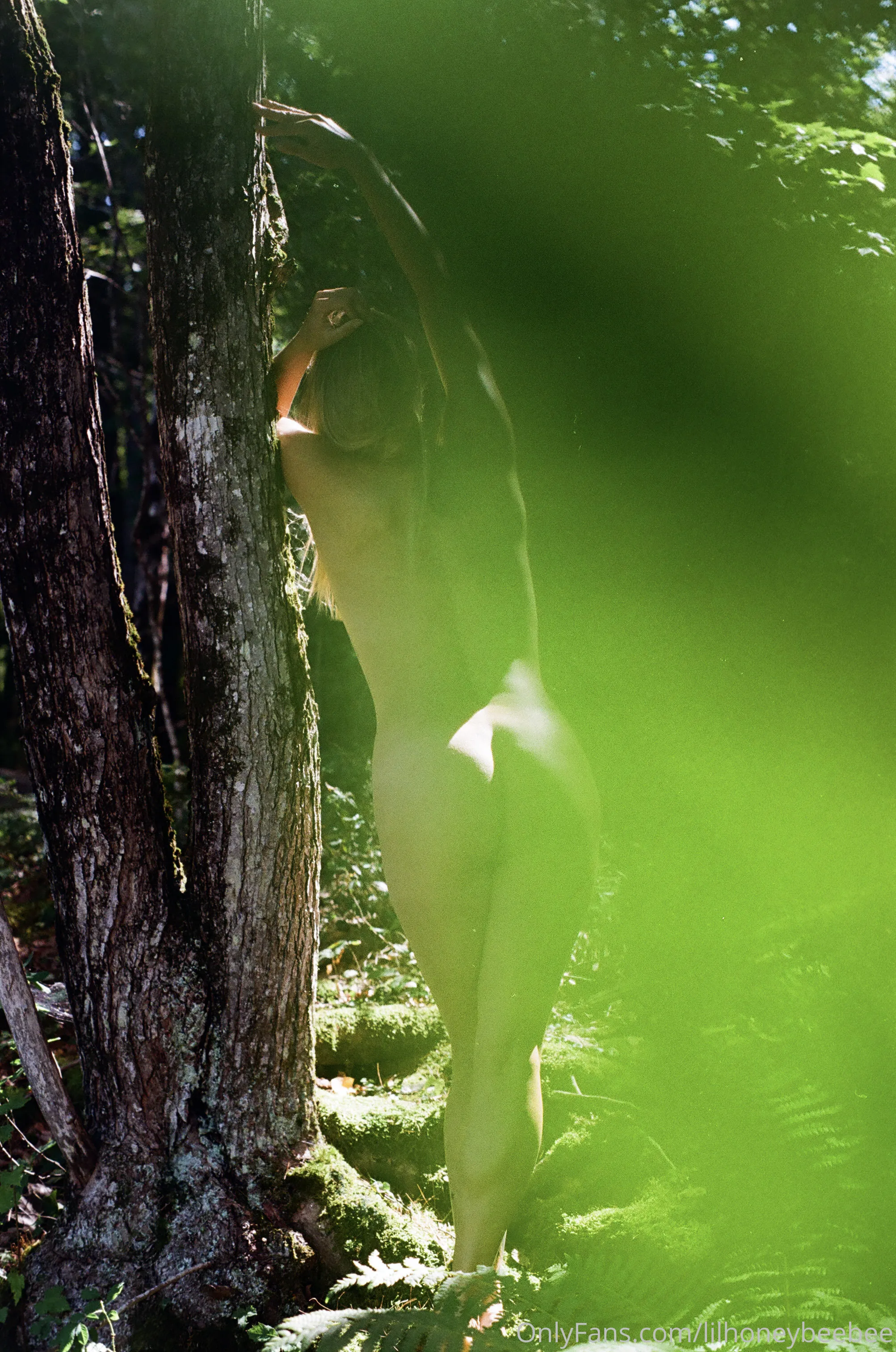 Little Honey Beebee OnlyFans leaked nude photo 17 - lilhoneybeebee naked pics free download