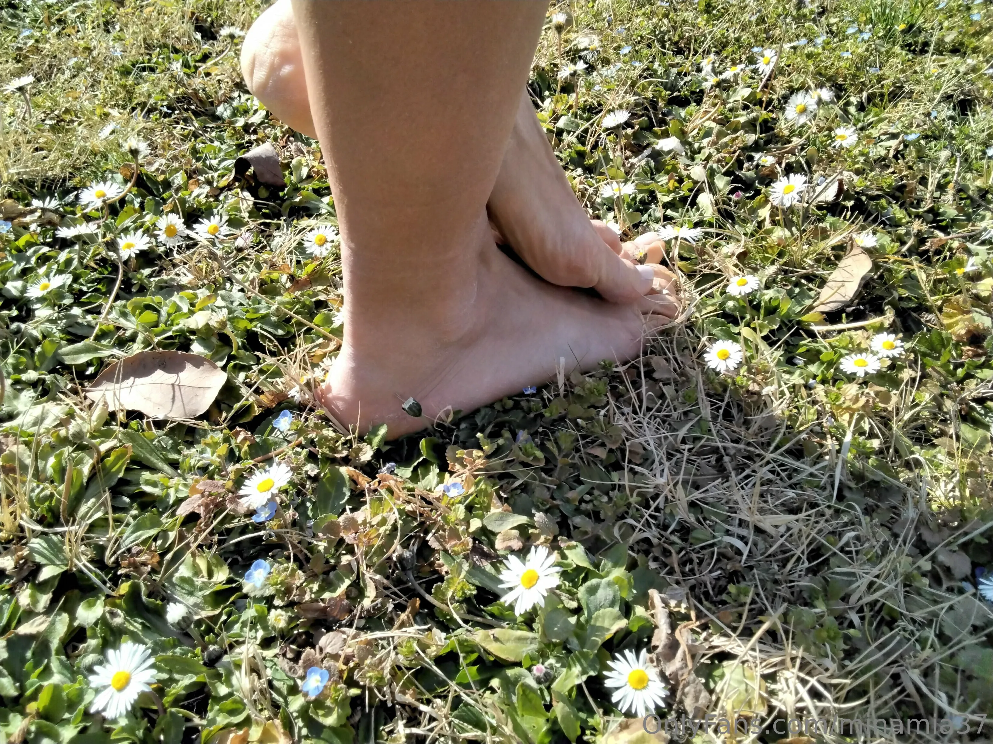 Mina OnlyFans leaked nude photo 3 - minamia37 naked pics free download