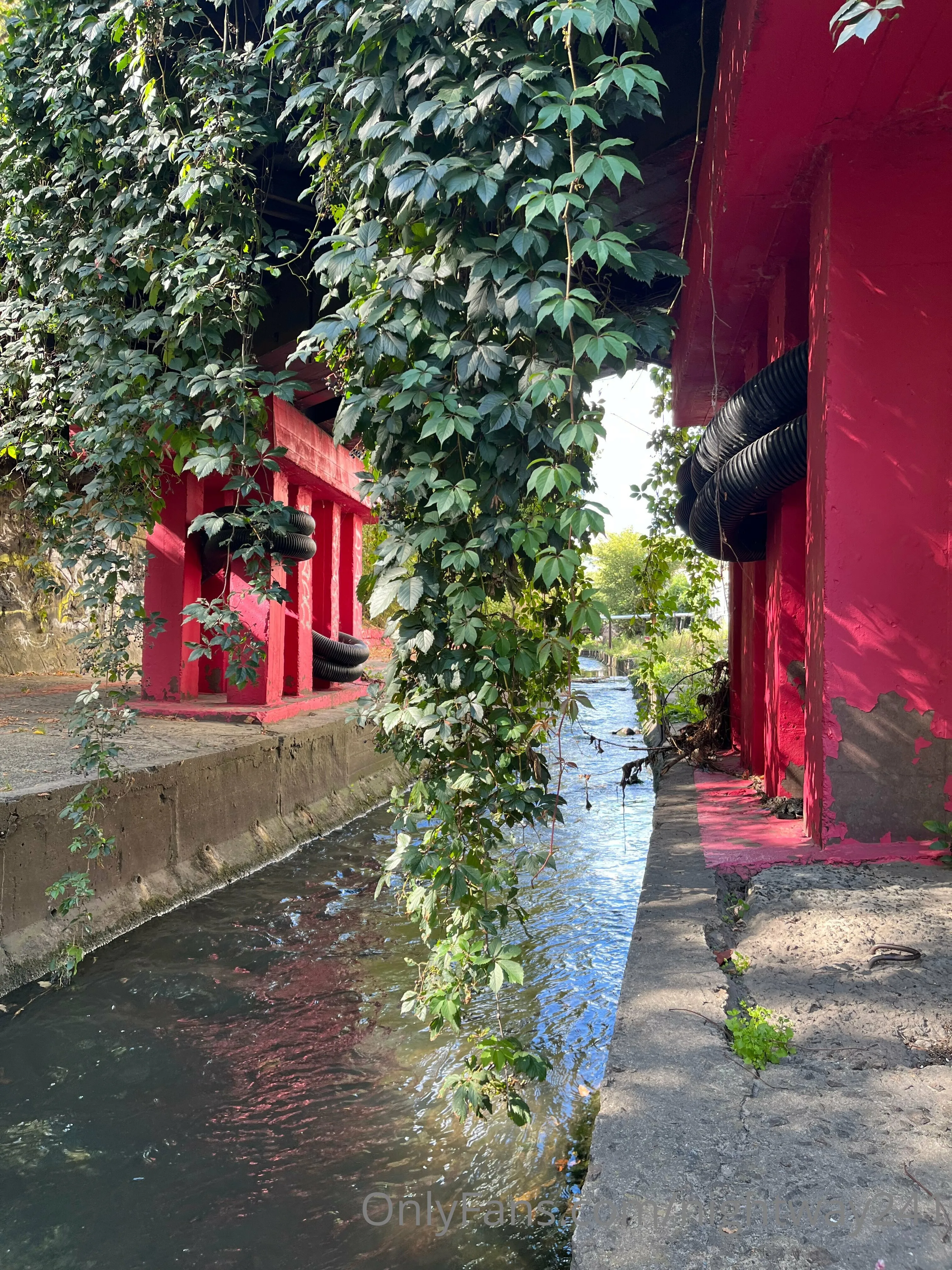 Night Way🇺🇦 OnlyFans leaked nude photo 14 - nightway241 naked pics free download