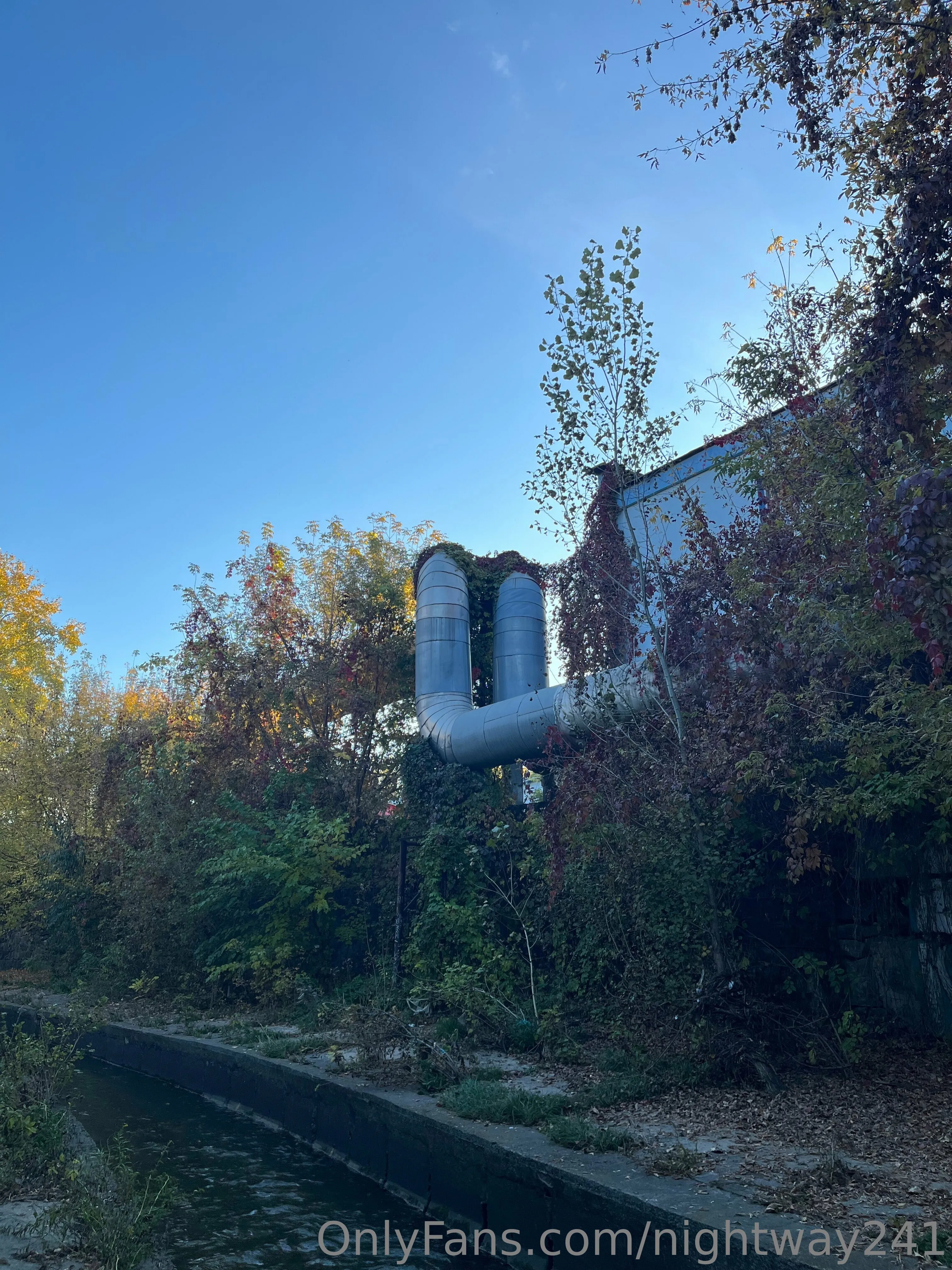 Night Way🇺🇦 OnlyFans leaked nude photo 4 - nightway241 naked pics free download