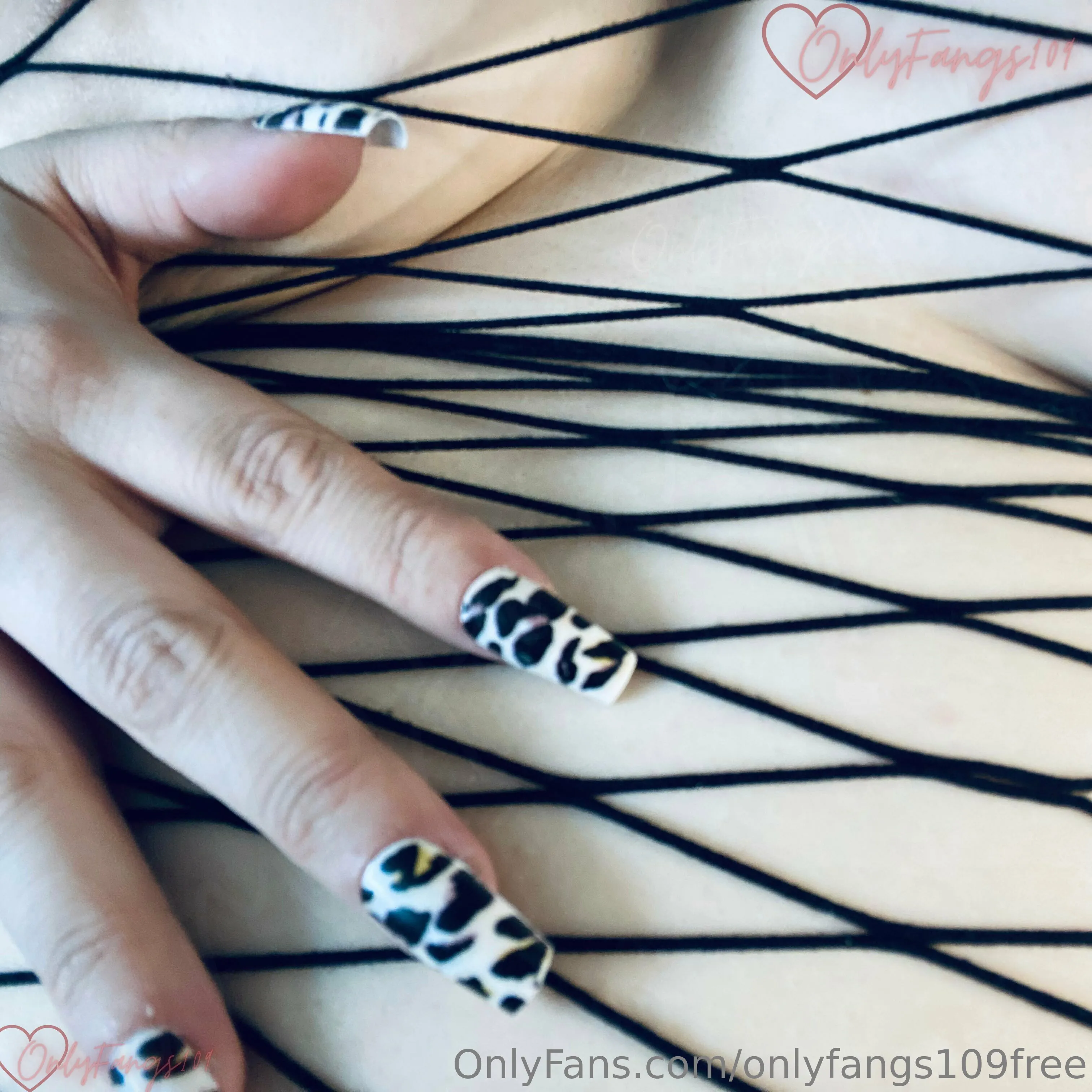 OnlyFangs109Free OnlyFans leaked nude photo 6 - onlyfangs109free naked pics free download