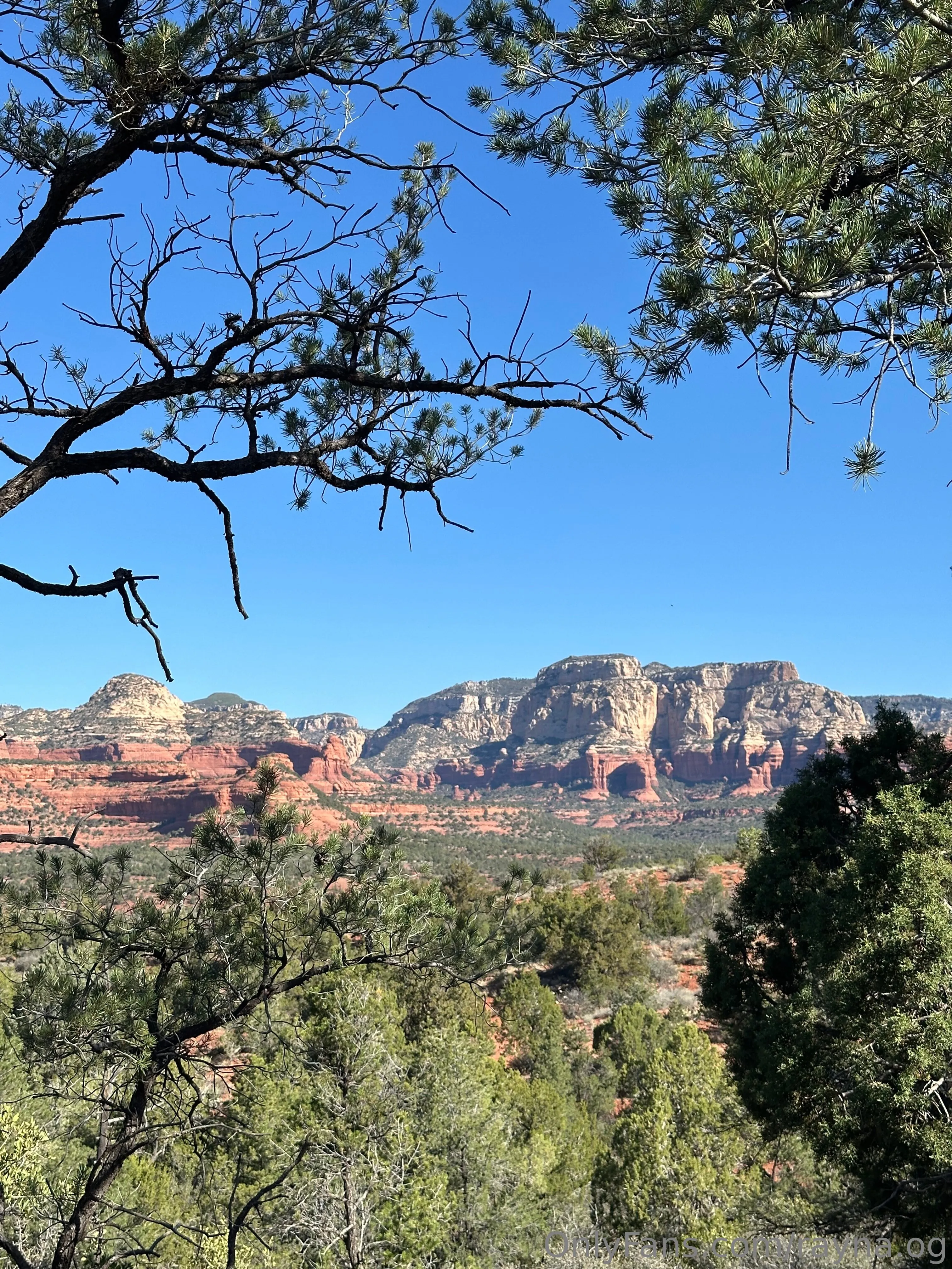 Rayna 👑 OnlyFans leaked nude photo 9 - rayna.og naked pics free download