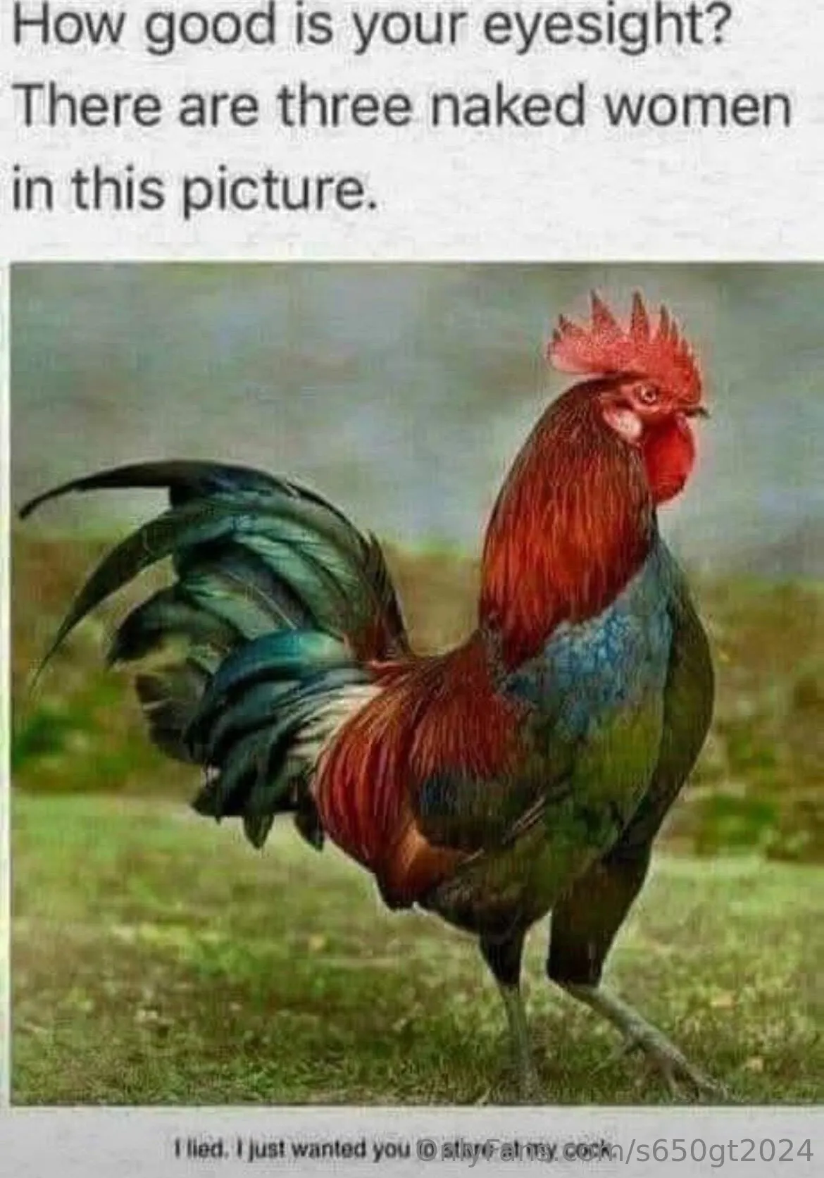 Alex OnlyFans leaked nude photo 15 - s650gt2024 naked pics free download