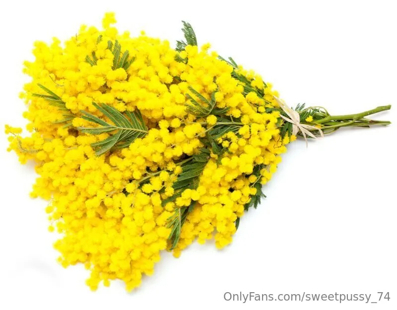 💋 sweetpussy💋 OnlyFans leaked nude photo 10 - sweetpussy_74 naked pics free download