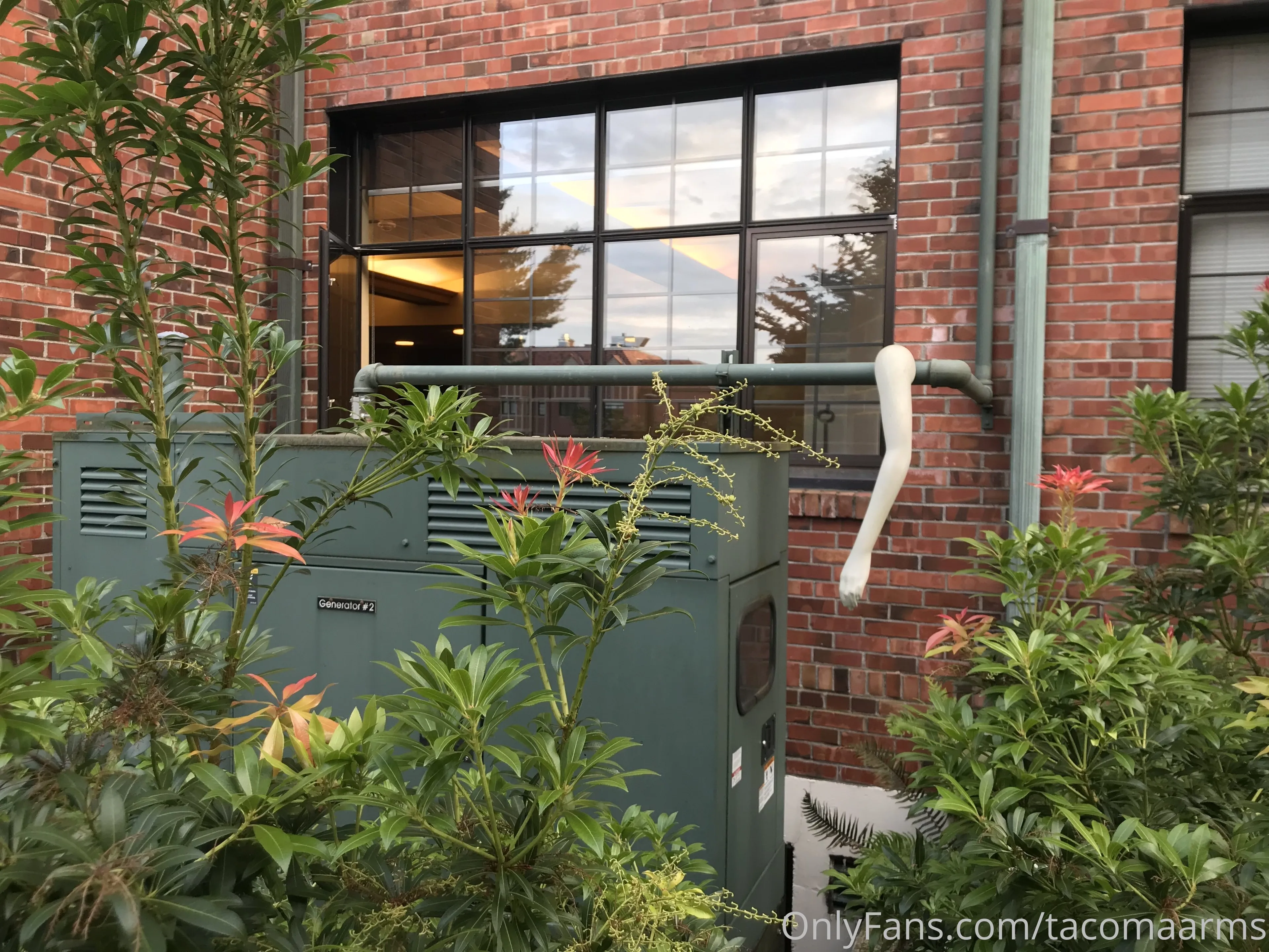 Tacoma Arms OnlyFans leaked nude photo 12 - tacomaarms naked pics free download