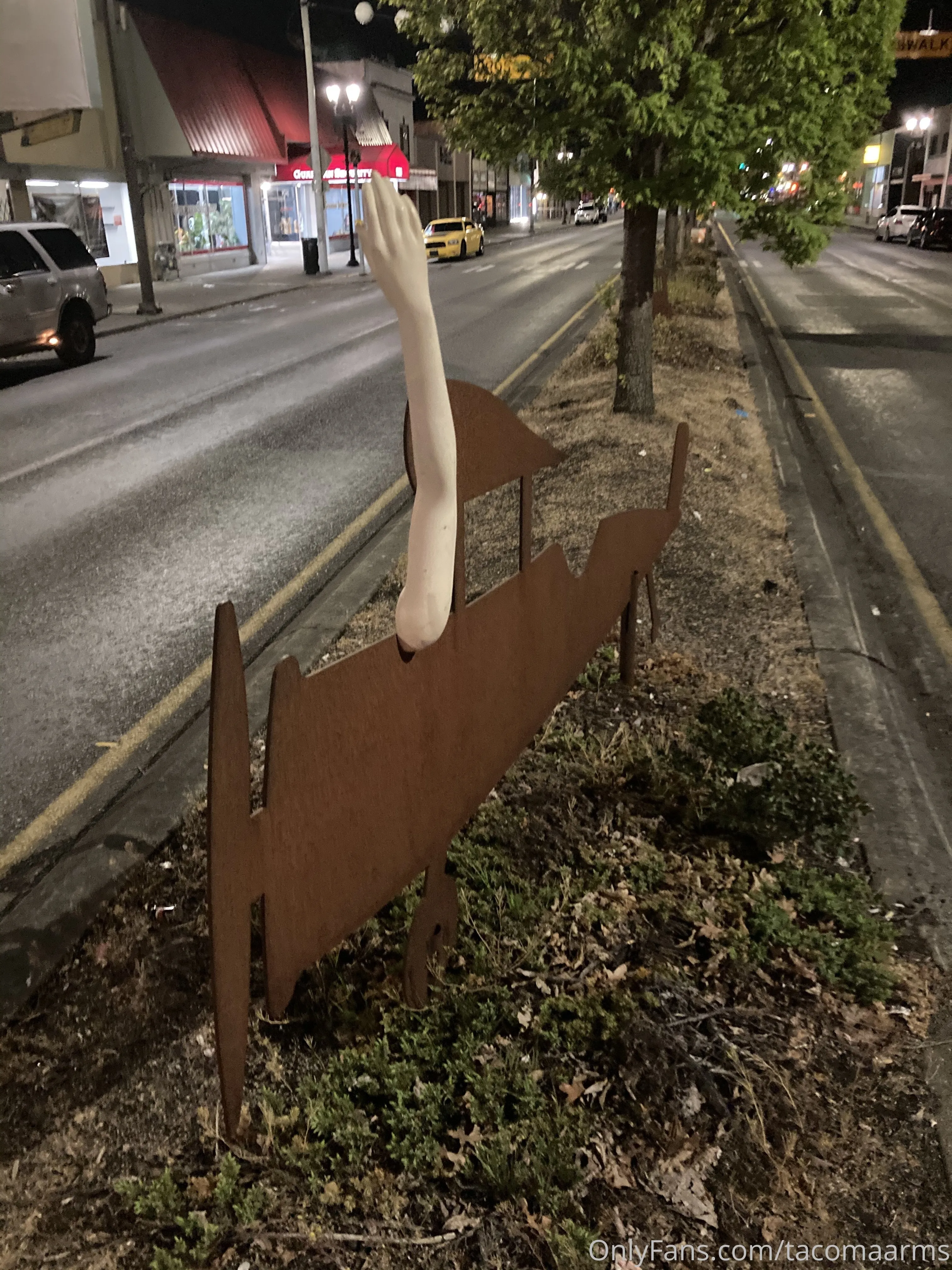 Tacoma Arms OnlyFans leaked nude photo 6 - tacomaarms naked pics free download