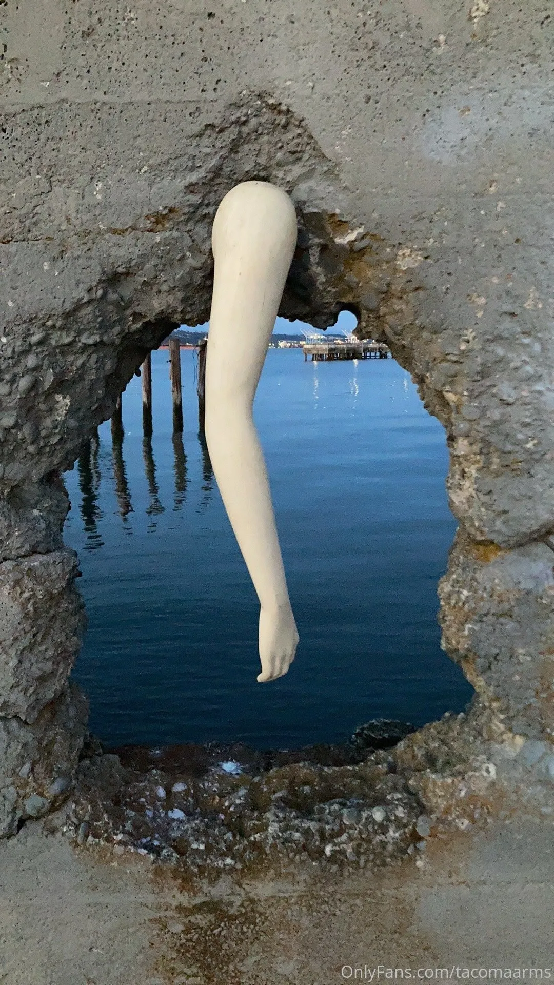 Tacoma Arms OnlyFans leaked nude photo 5 - tacomaarms naked pics free download