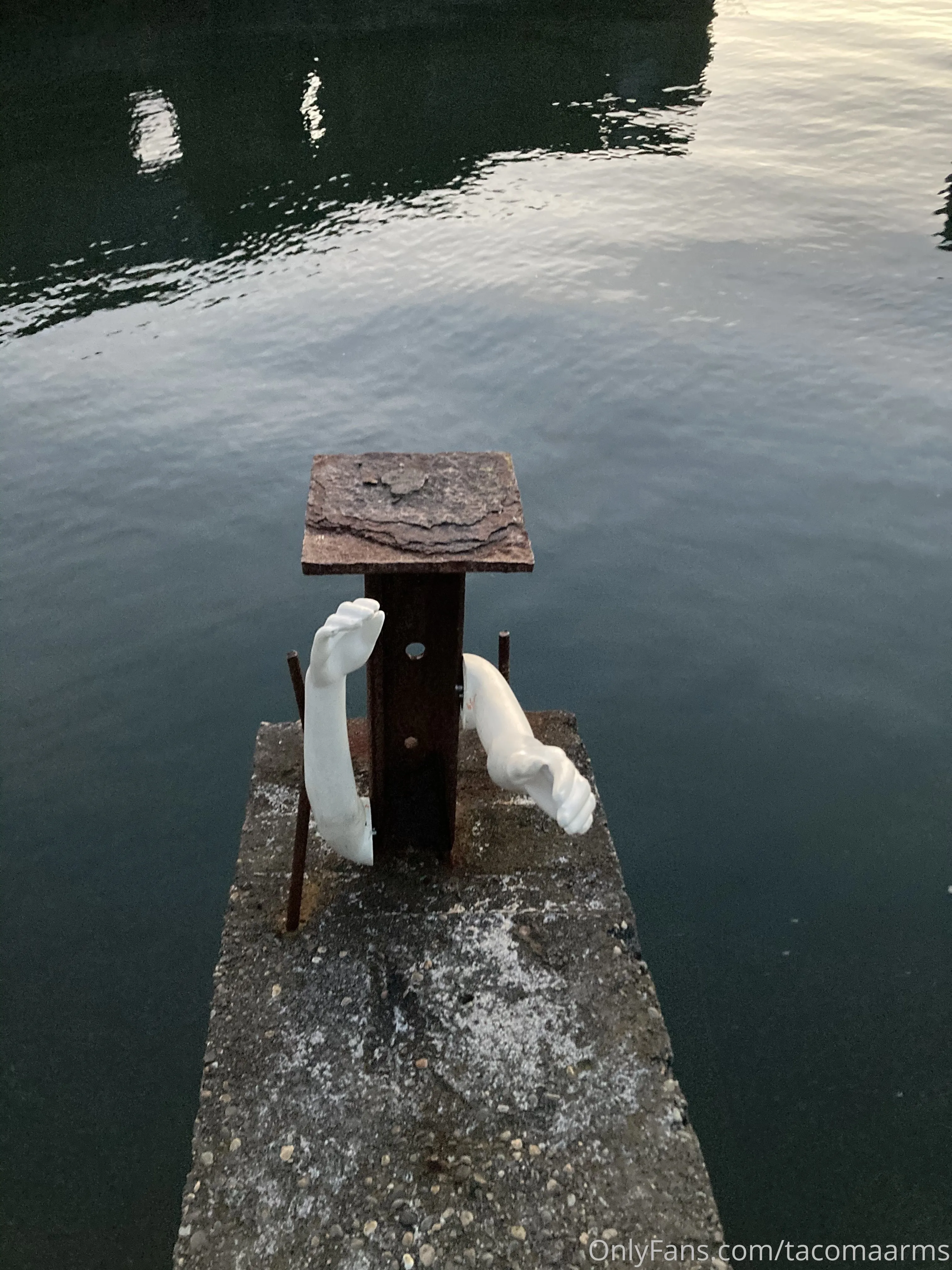 Tacoma Arms OnlyFans leaked nude photo 4 - tacomaarms naked pics free download