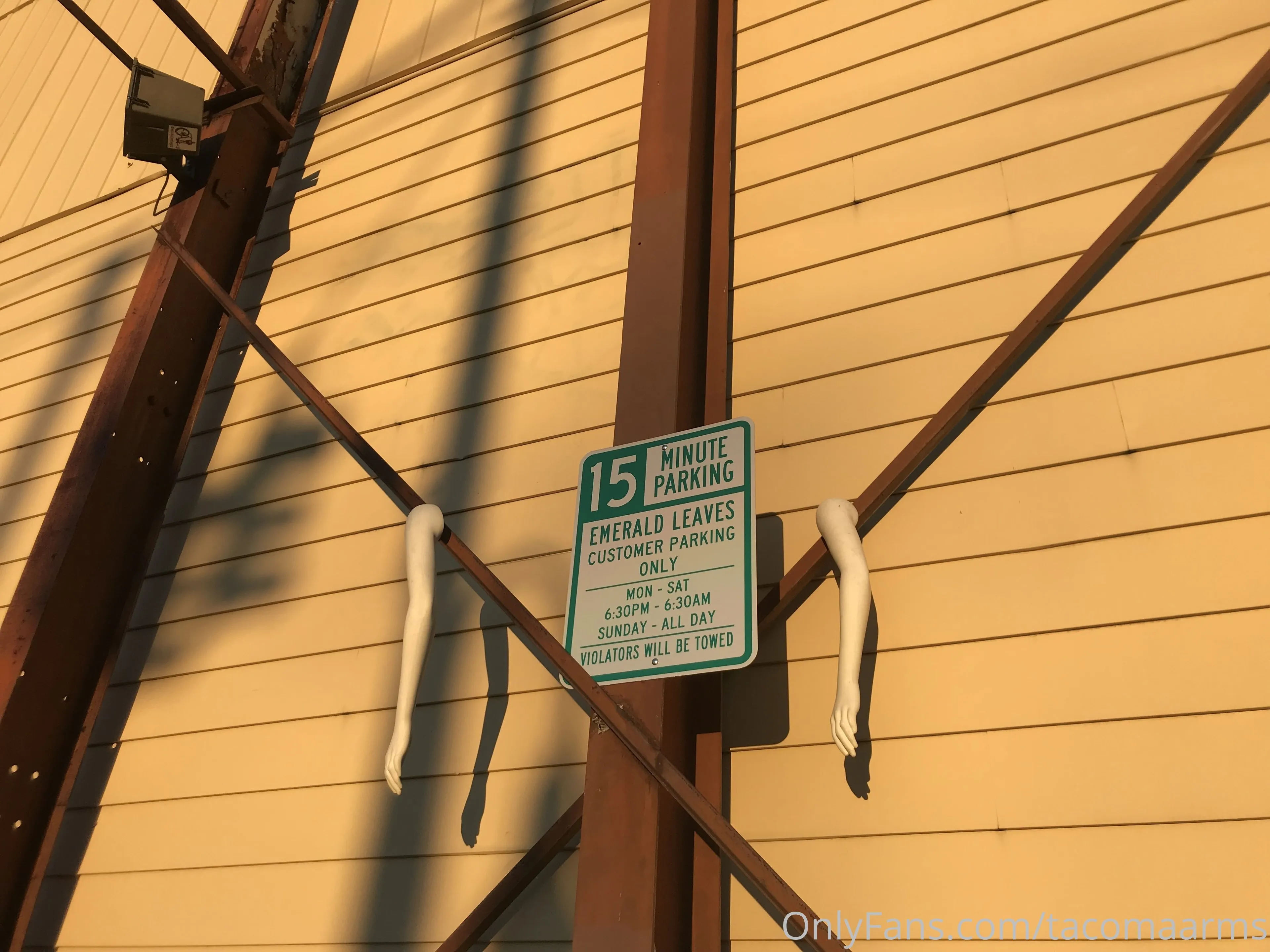 Tacoma Arms OnlyFans leaked nude photo 3 - tacomaarms naked pics free download