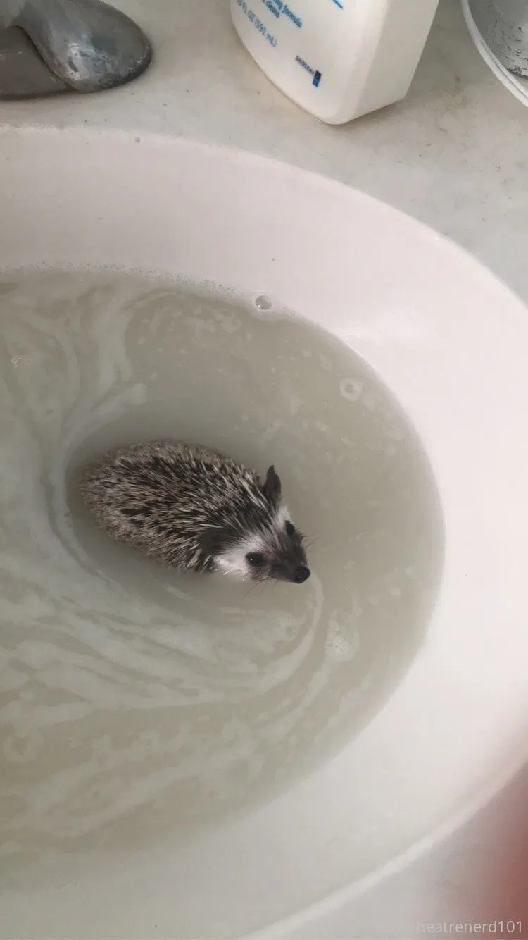 Riv OnlyFans leaked nude photo 32 - theatrenerd101 naked pics free download