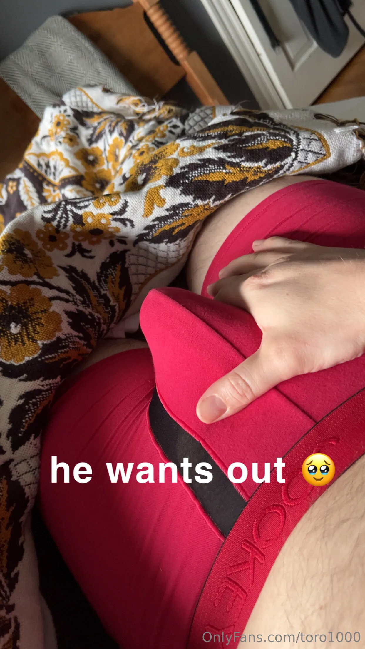 toro1000 OnlyFans leaked nude photo 4 - toro1000 naked pics free download