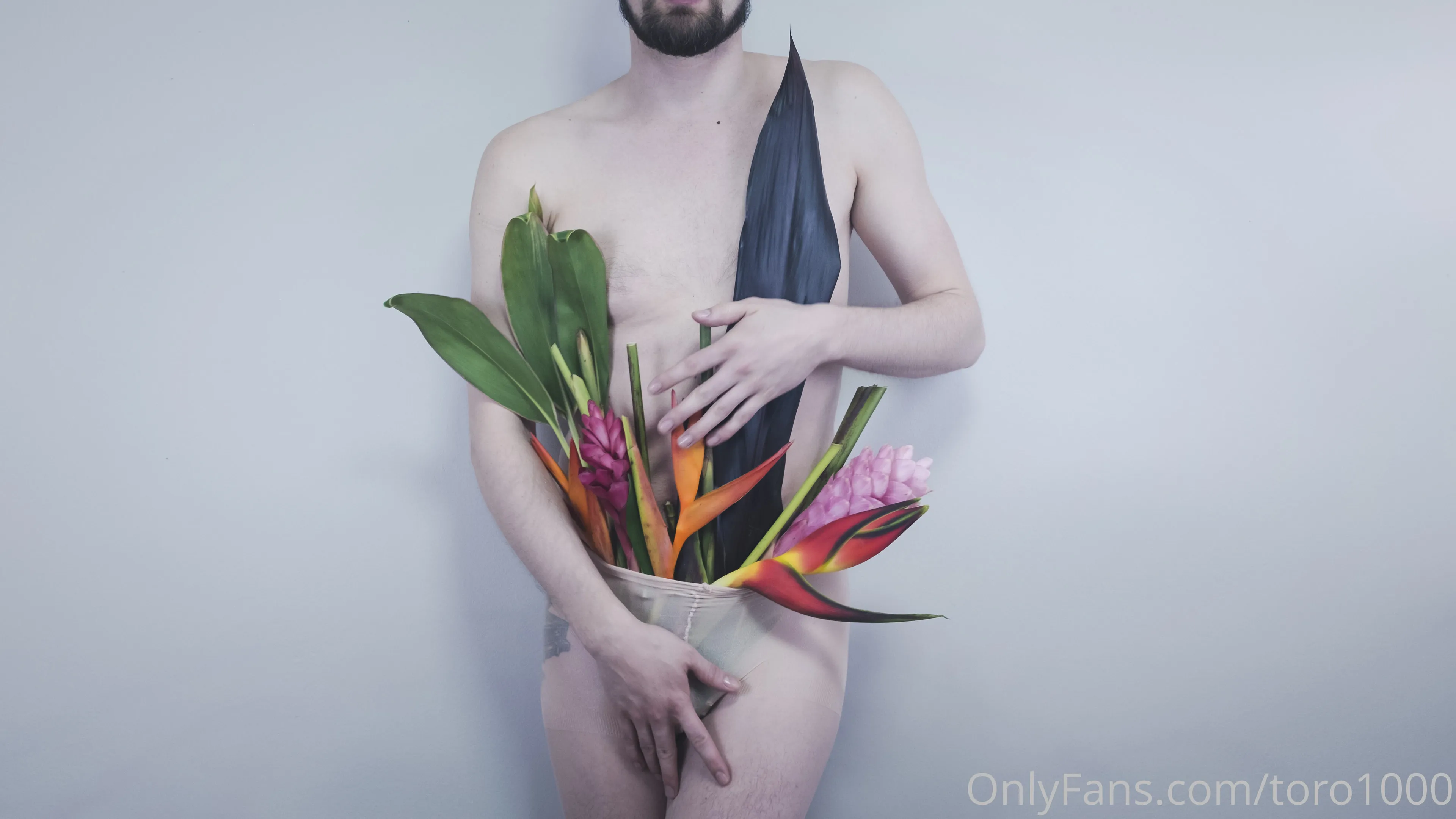 toro1000 OnlyFans leaked nude photo 6 - toro1000 naked pics free download