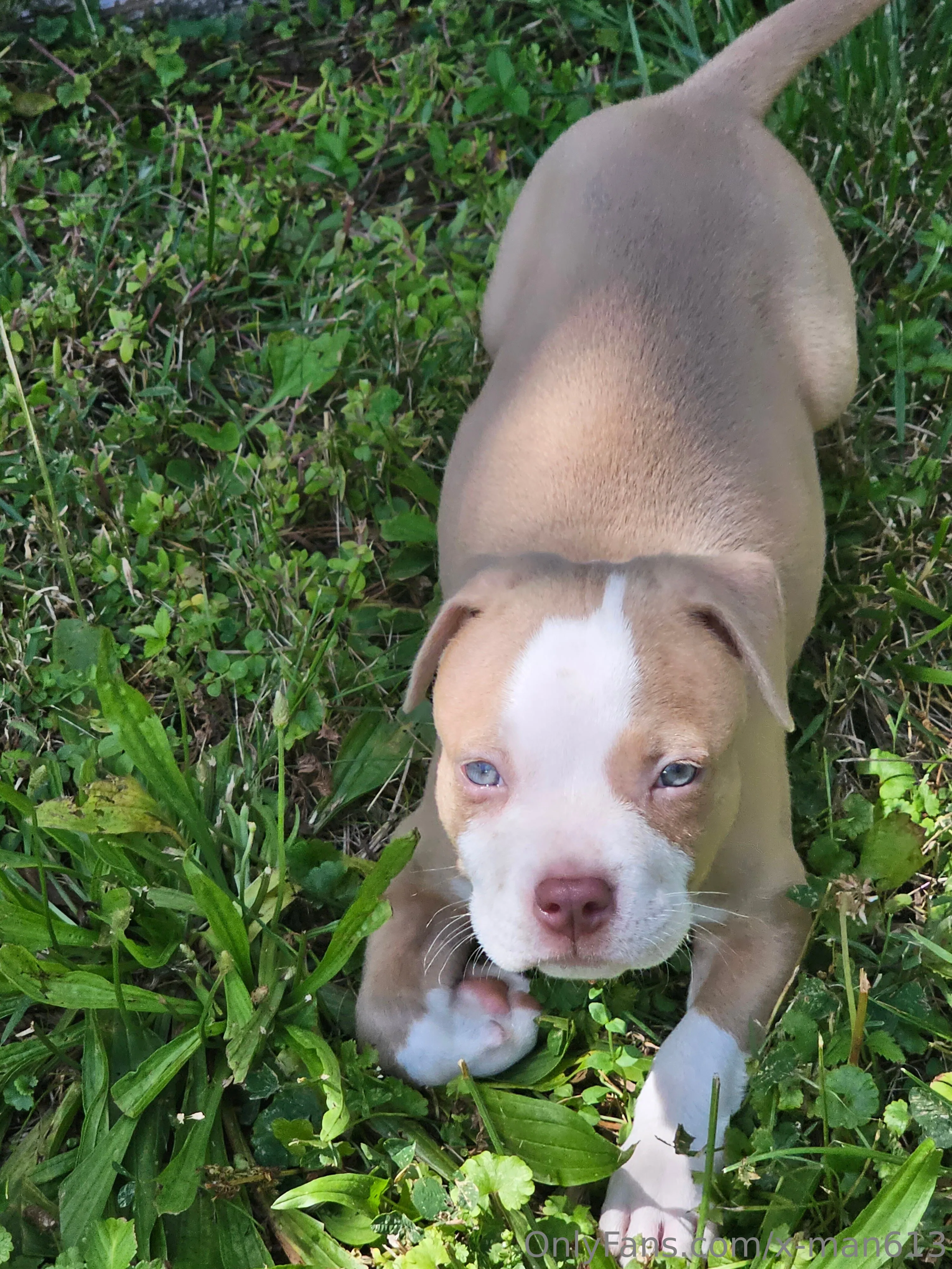 Xavier OnlyFans leaked nude photo 11 - x-man613 naked pics free download