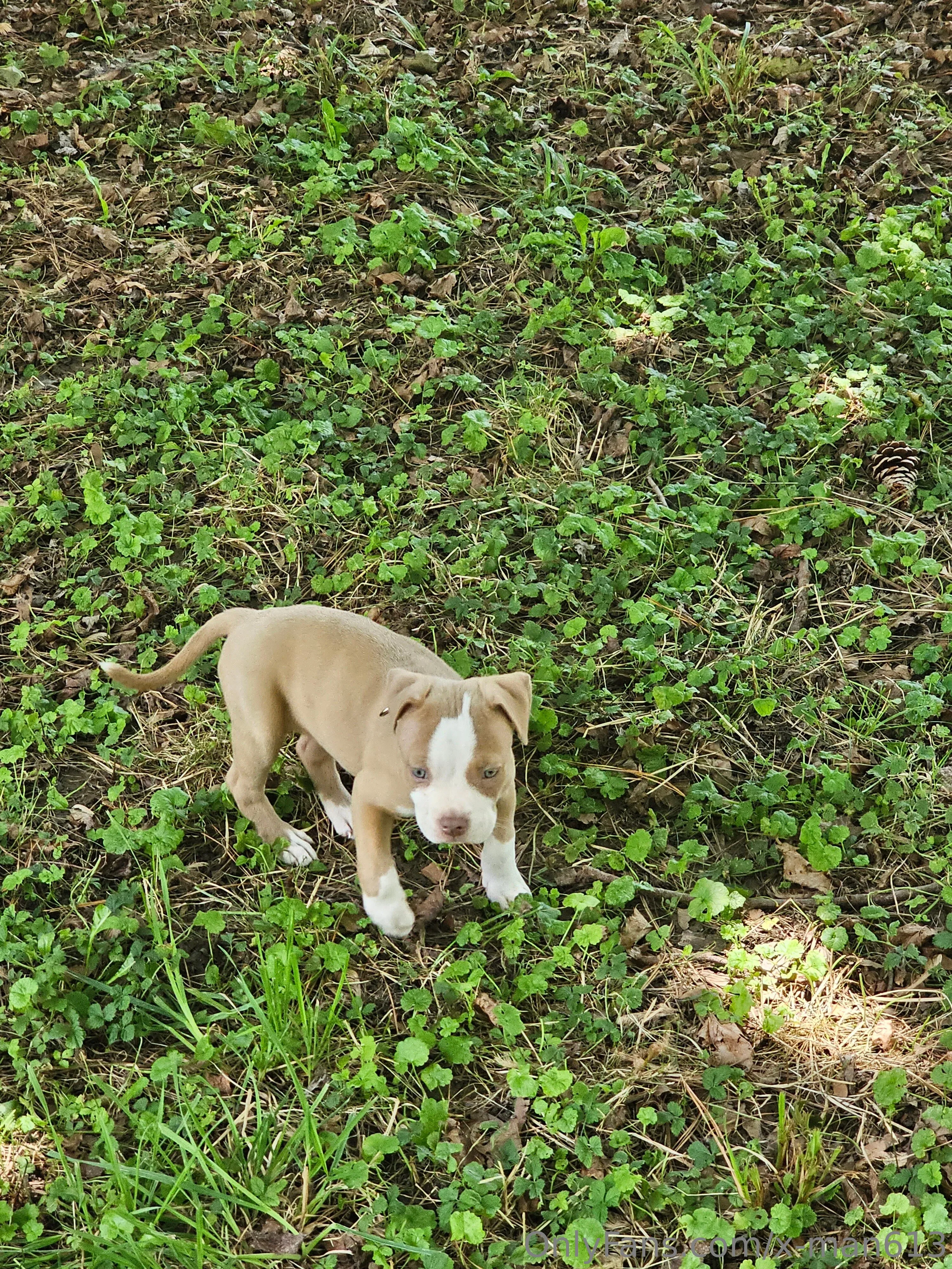 Xavier OnlyFans leaked nude photo 10 - x-man613 naked pics free download