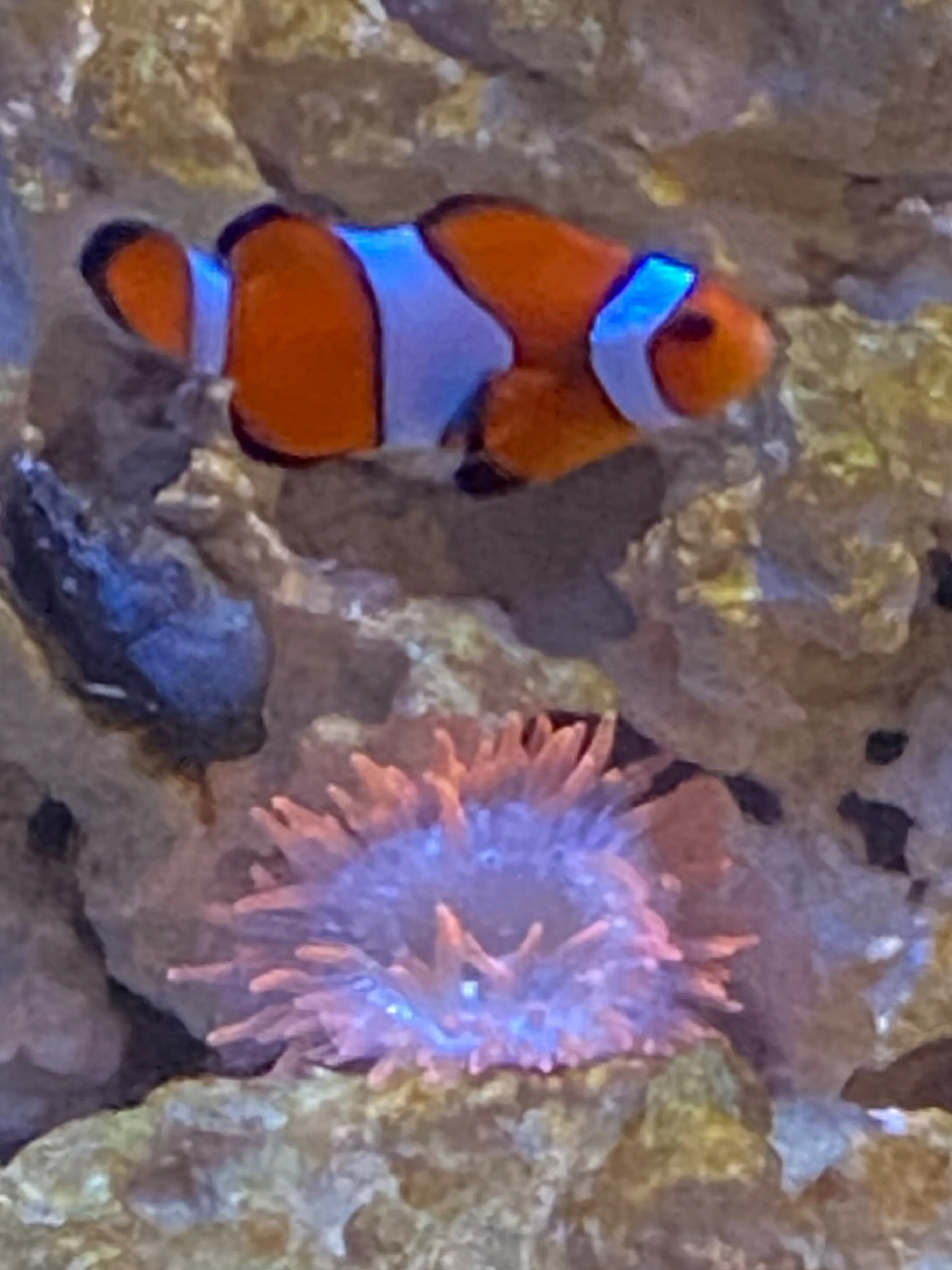 Kevinj75 OnlyFans leaked - kevinj75 nude pics and videos free