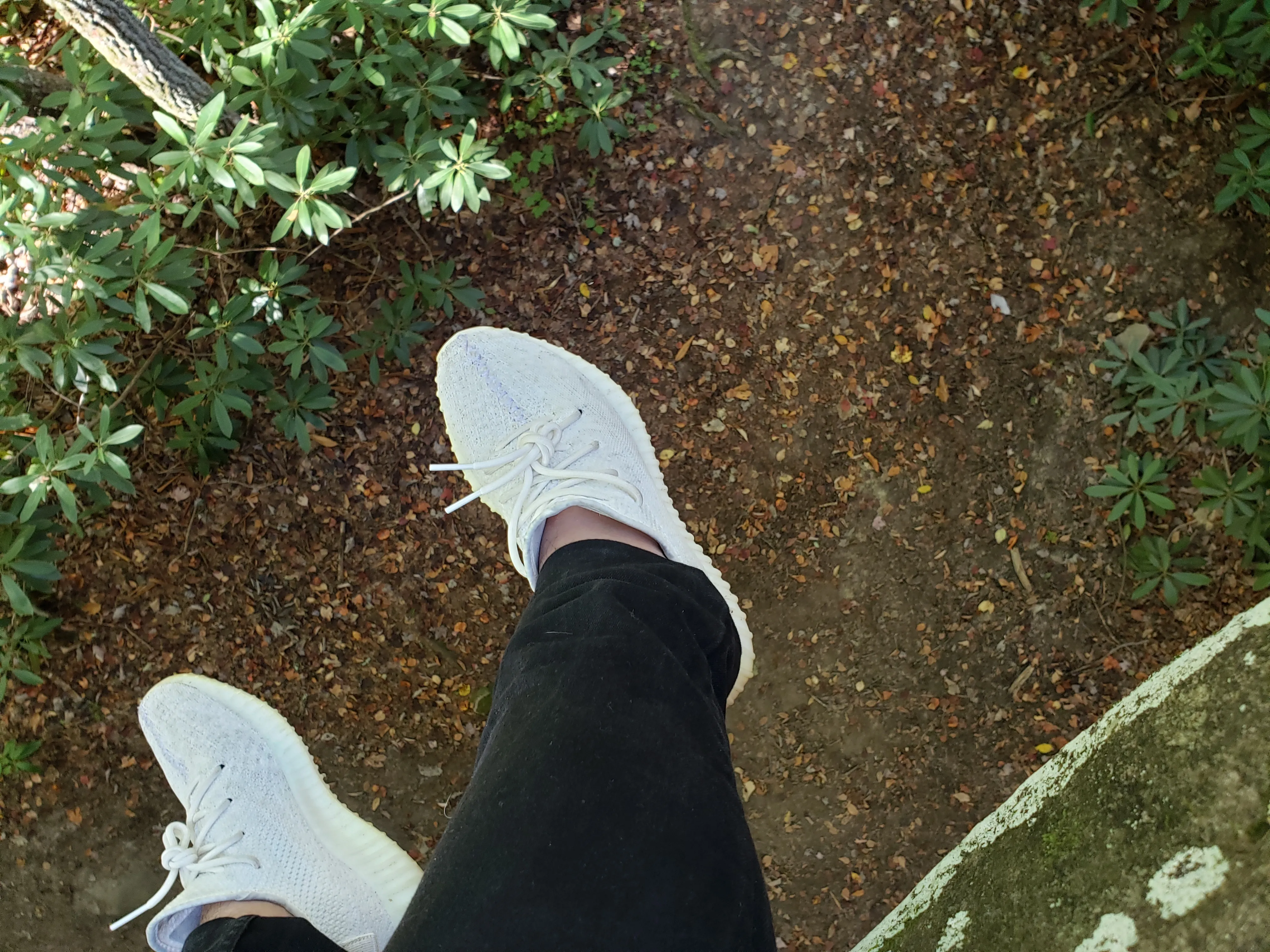 ThtGy OnlyFans leaked - thatguyfrom830 nude pics and videos free